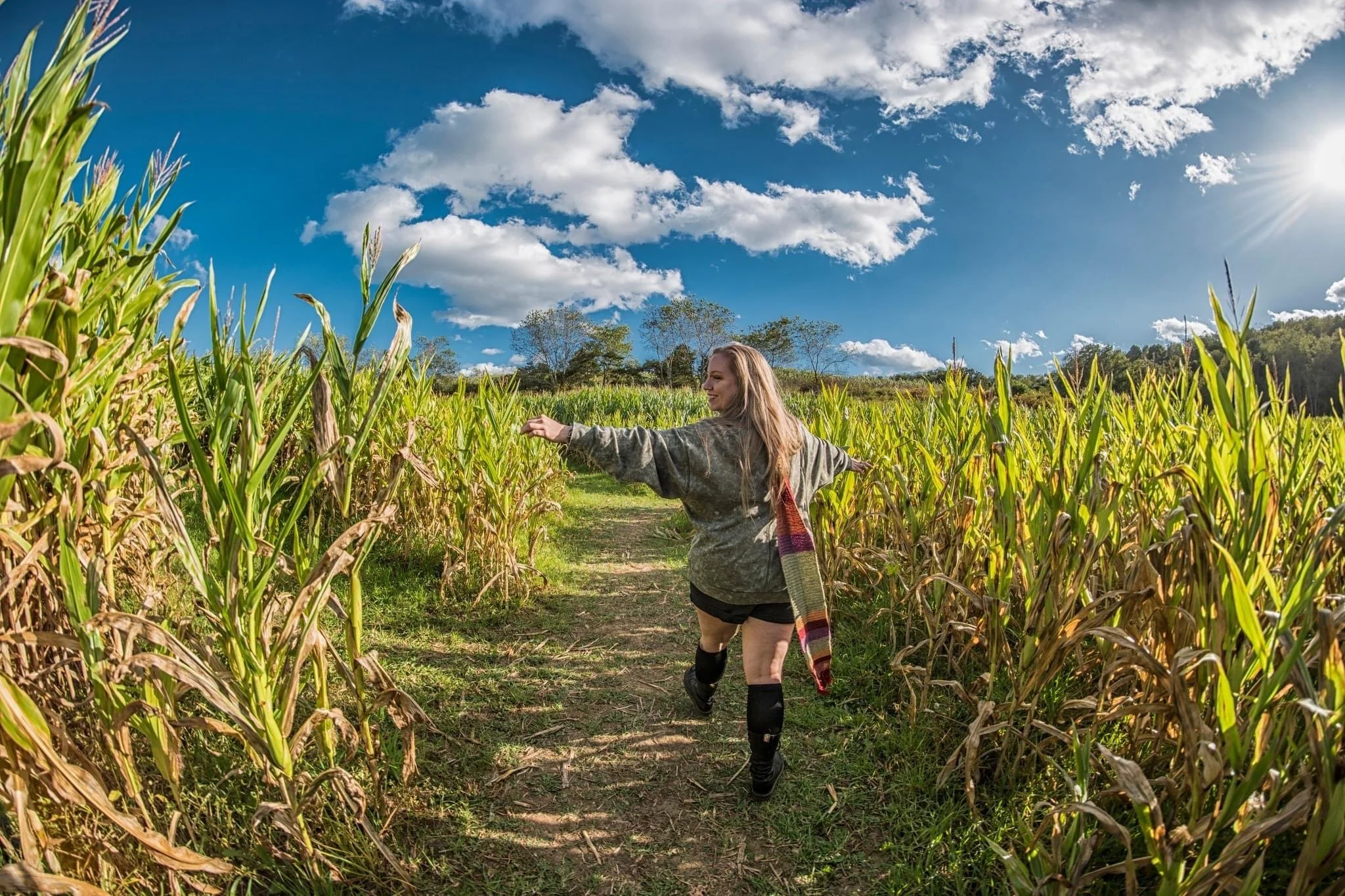 Woman walking through a green cornfield on a sunny day with blue sky and clouds.