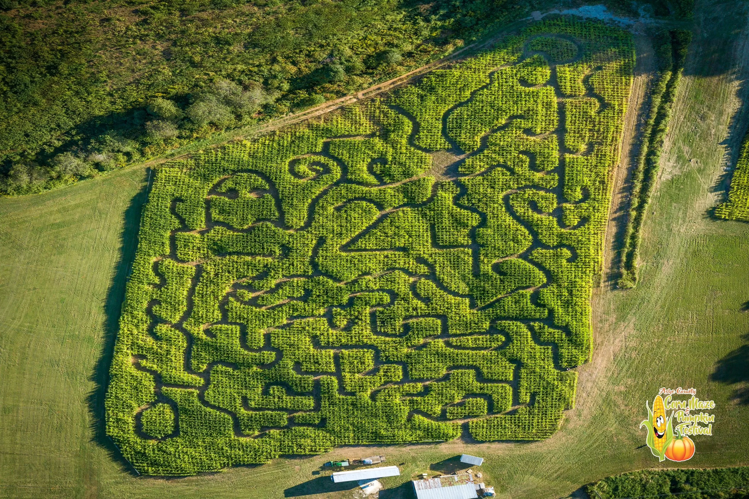 Corn Maze Map 2024.jpeg