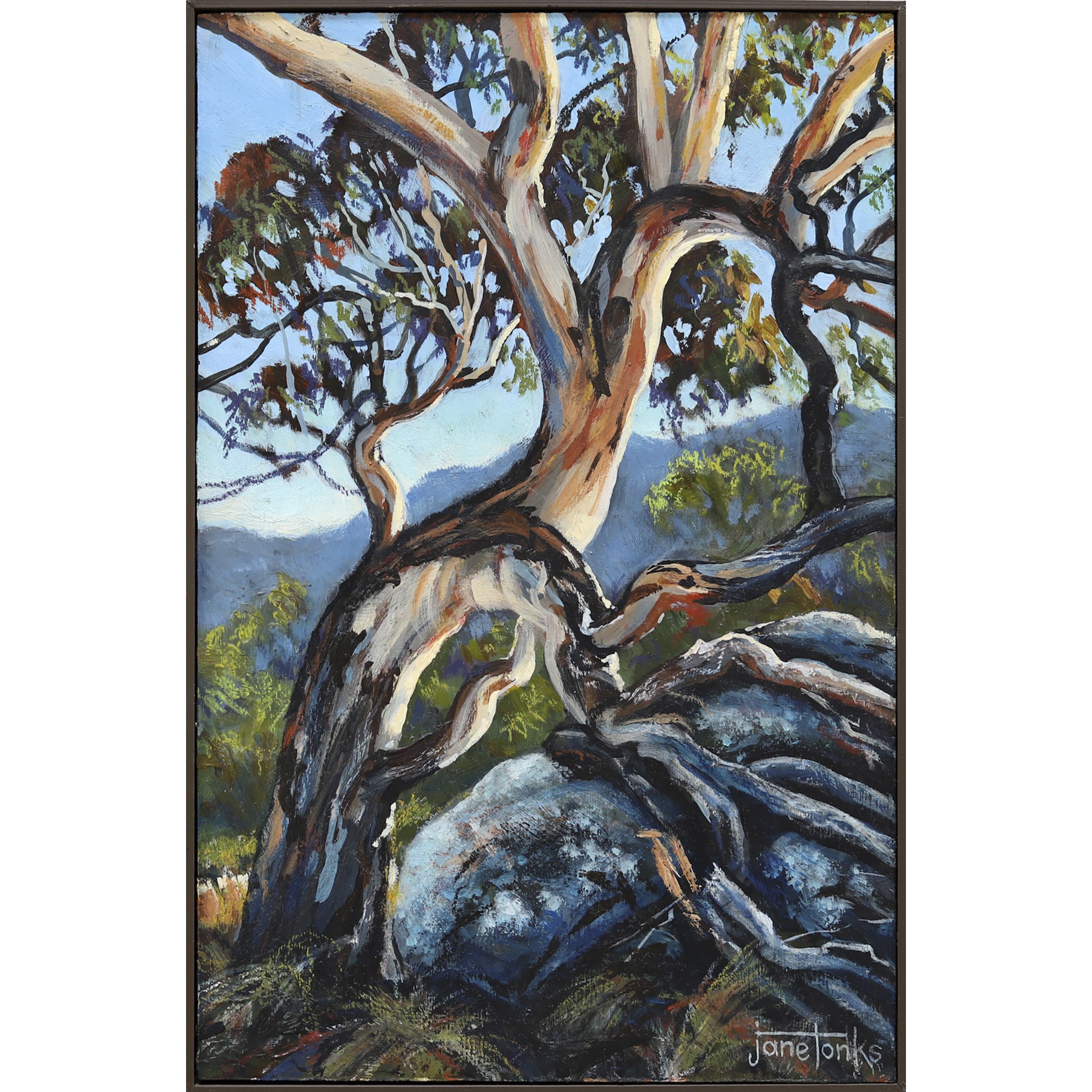 Jane Tonks - The Twists and Turns of Time