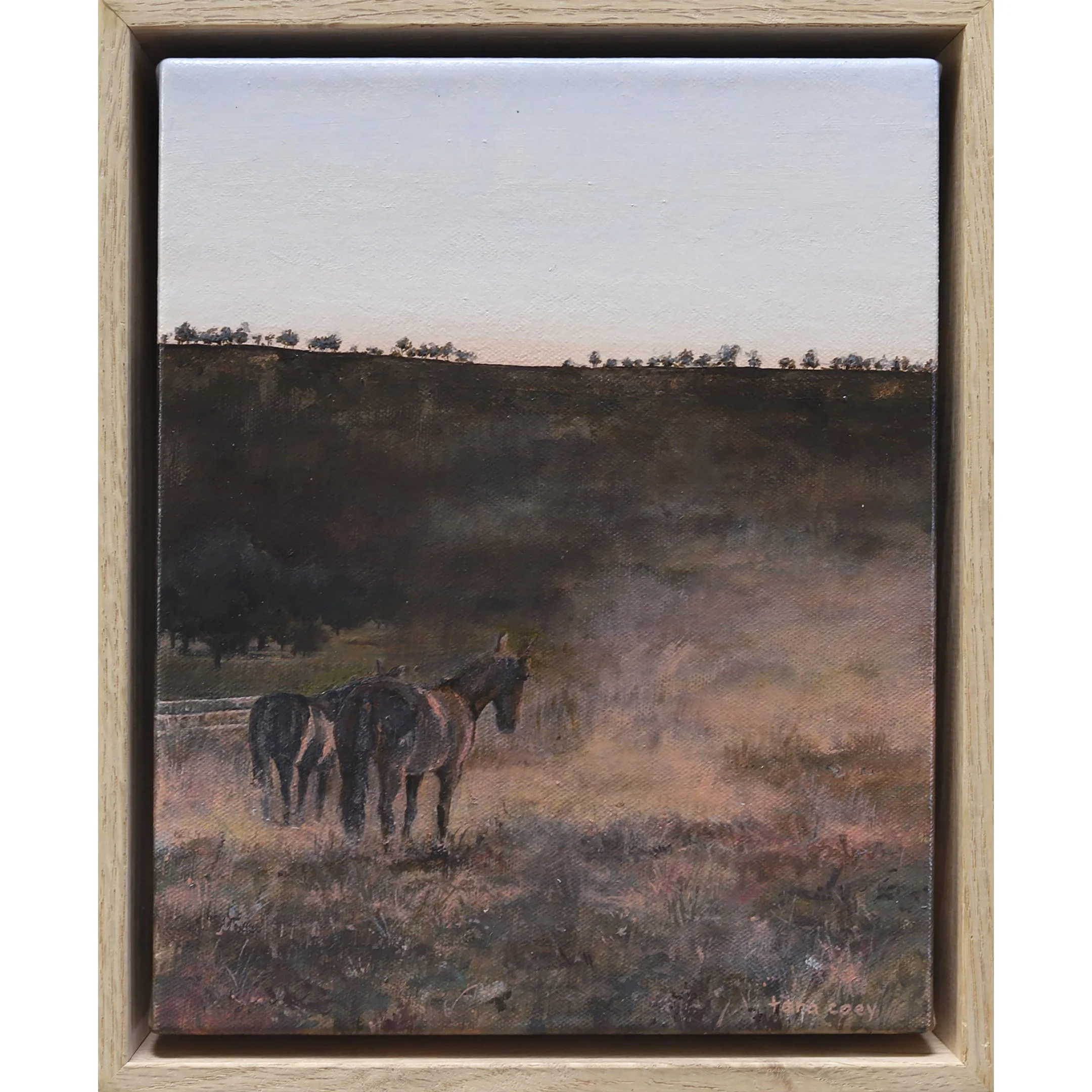 Tara Coey - Moving Forward