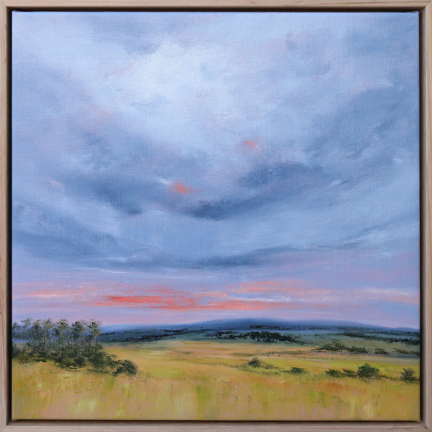 Allison Taplin - Cloud Freckles
