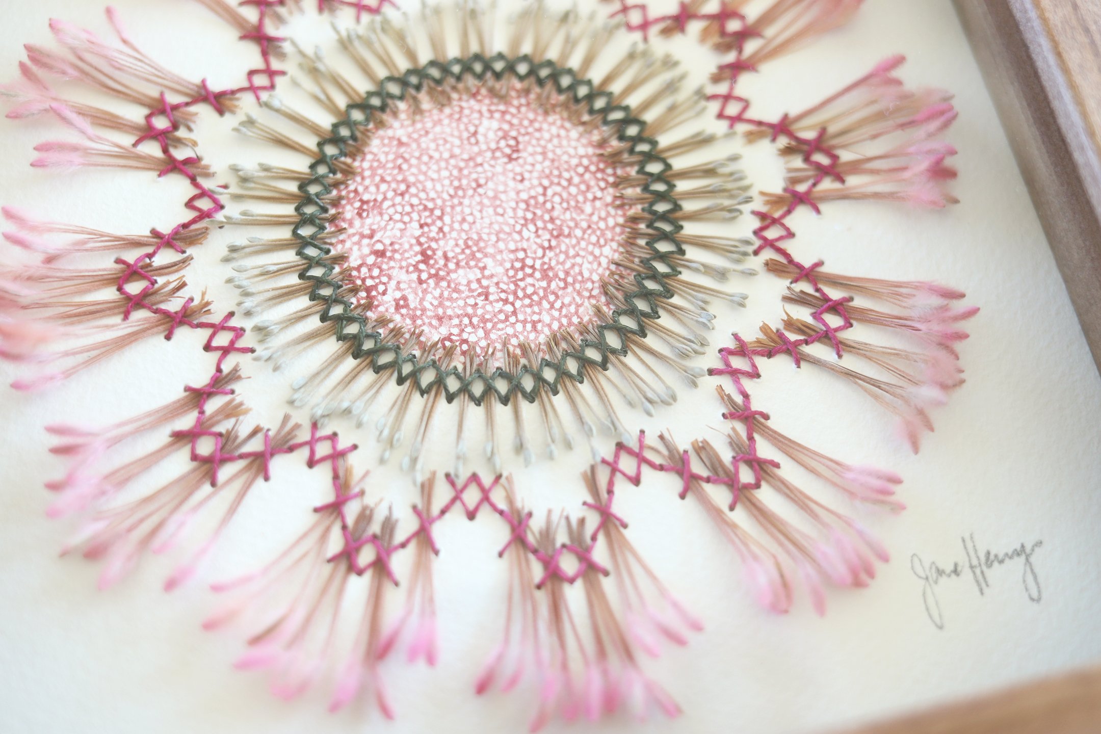 Jane Henry, Australian Art, Botanical Art, Shop Art Online, The Corner Store Gallery, Embroidery.