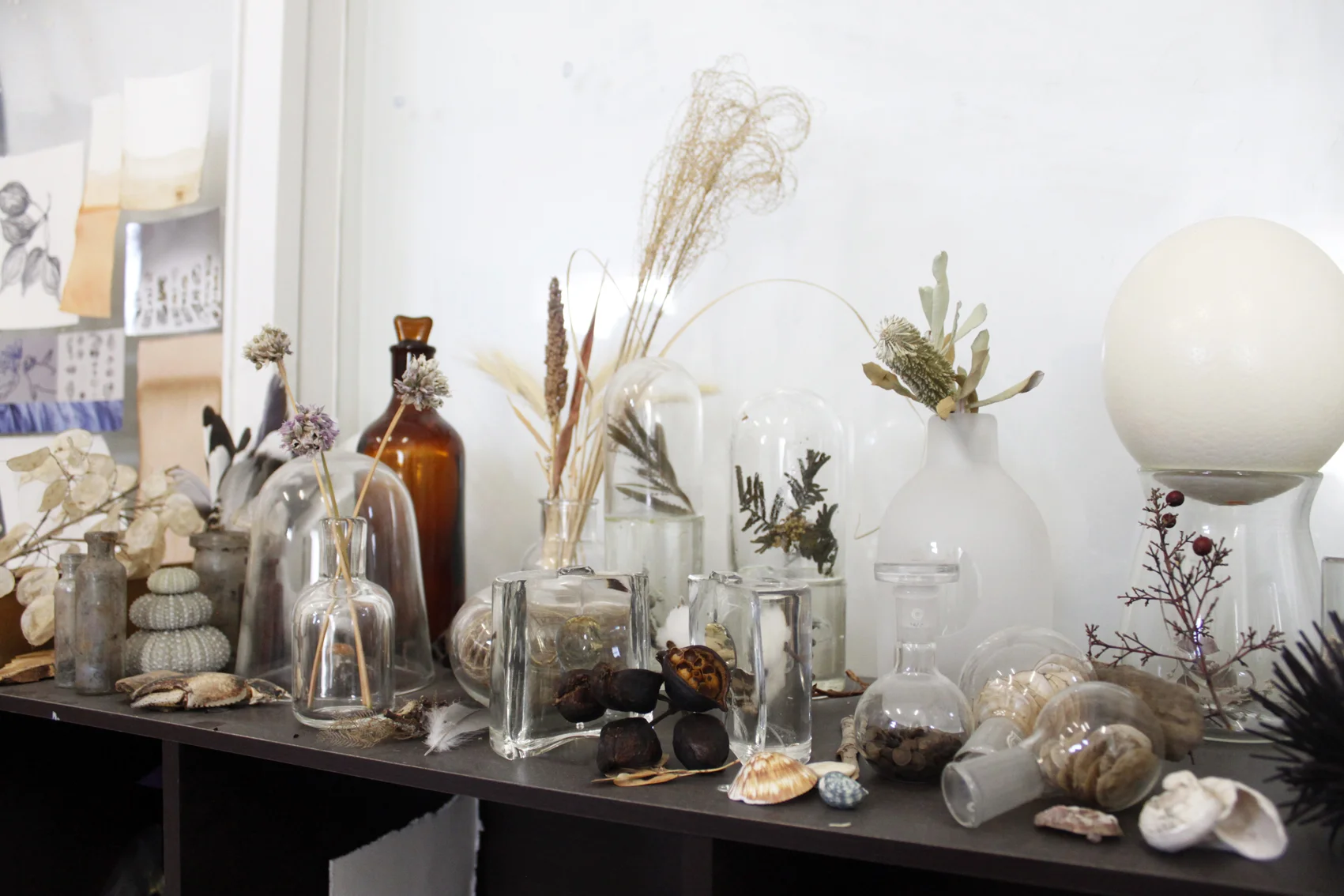 Studio Visit with Emilie Patteson at Canberra Glassworks