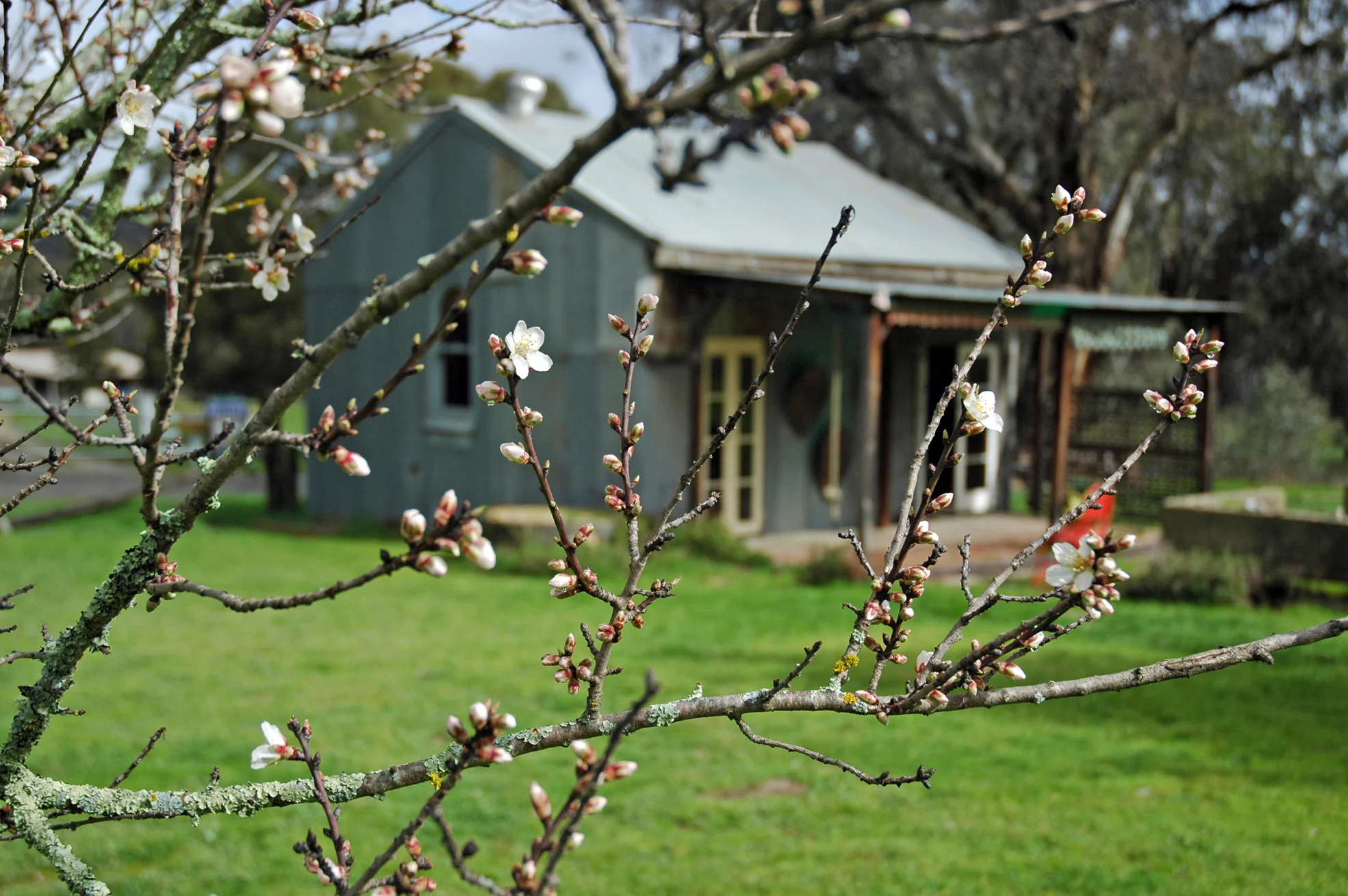 Studio Visit with Nina Machielse Hunt