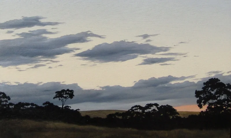 Fiona Barrett-Clark - The Views That Pass Us