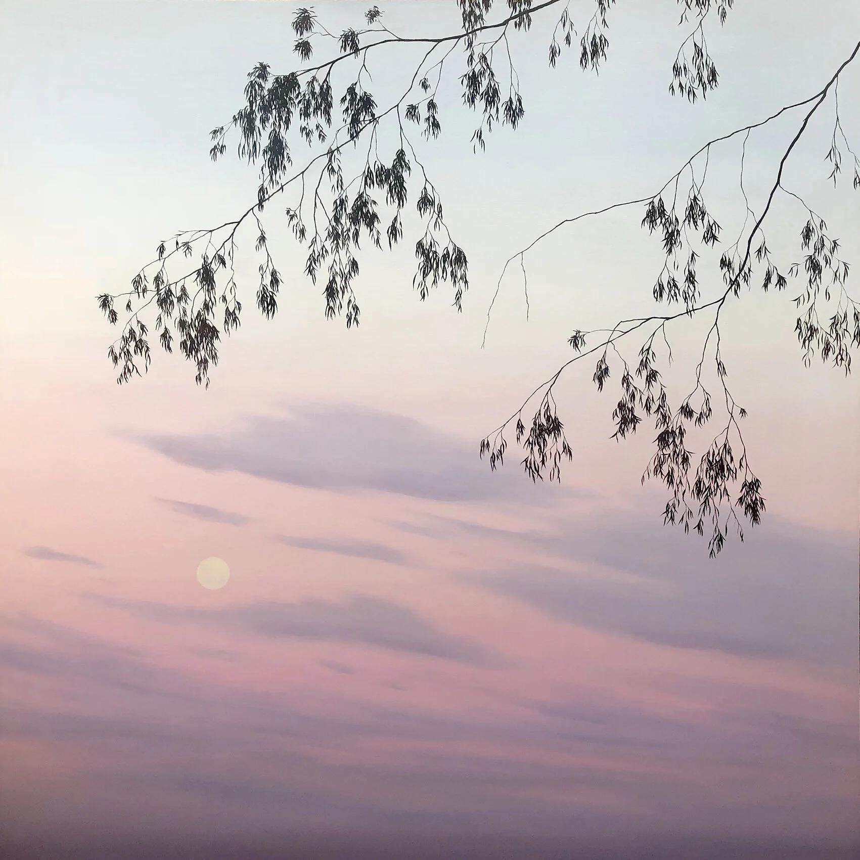 Treestories - Fiona Barrett-Clark, The Corner Store Gallery