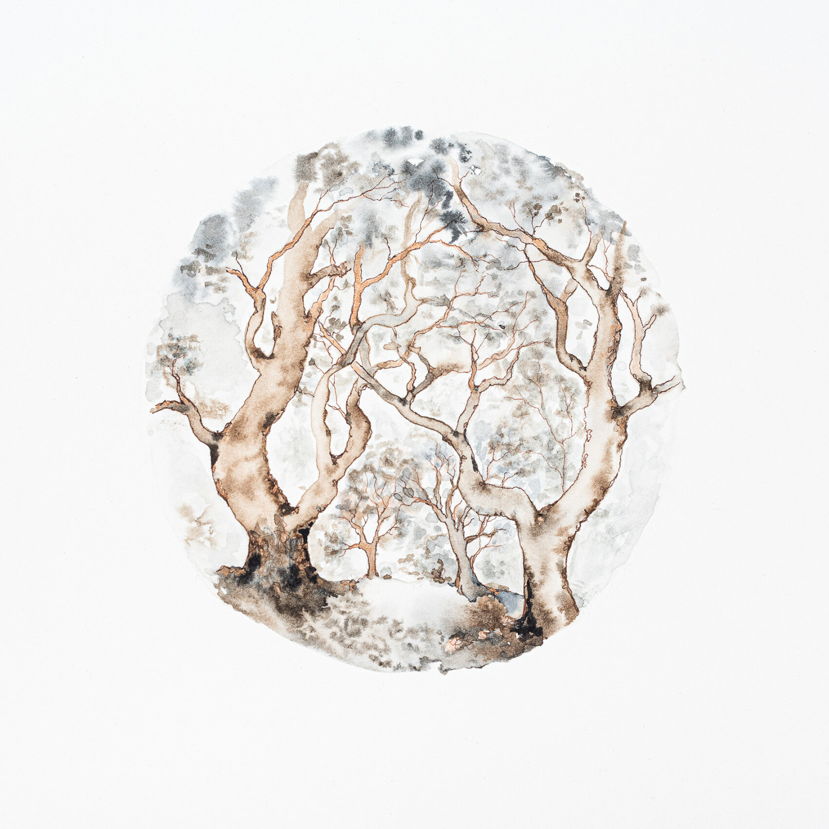 Treestories - Ingrid Bowen, The Corner Store Gallery