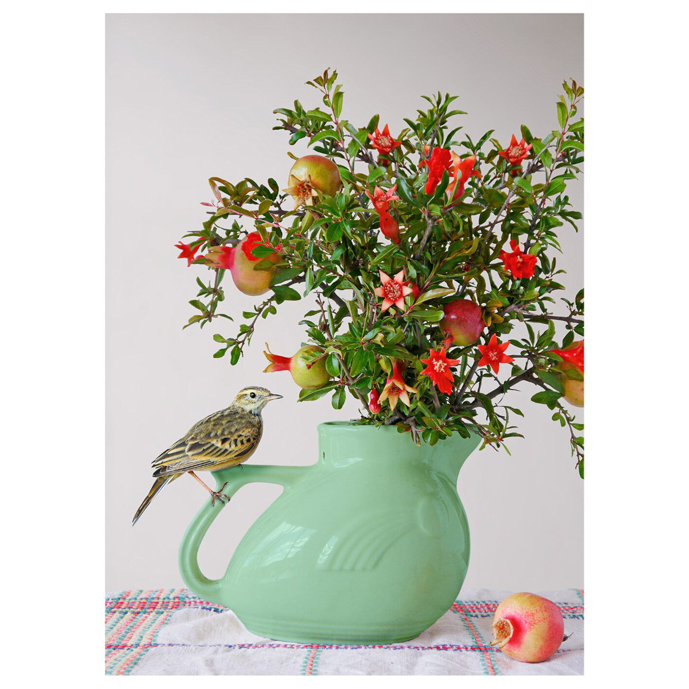 Jason McDonald - Pipit and Pomegranate