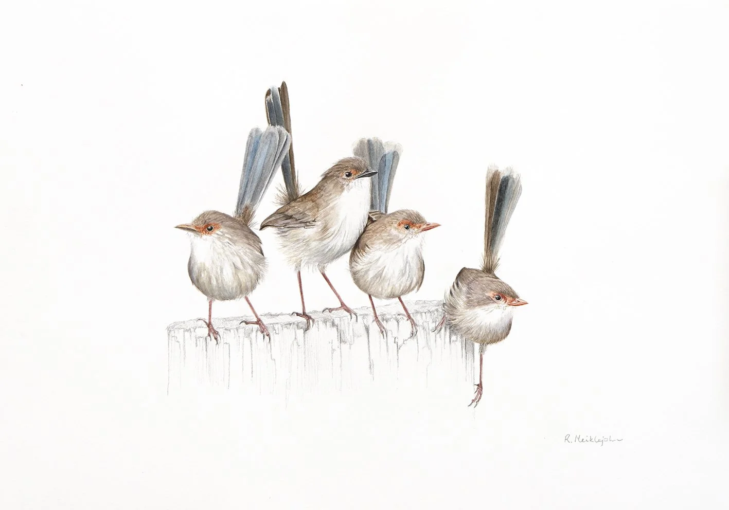 Robin Meiklejohn - A Brush with Nature