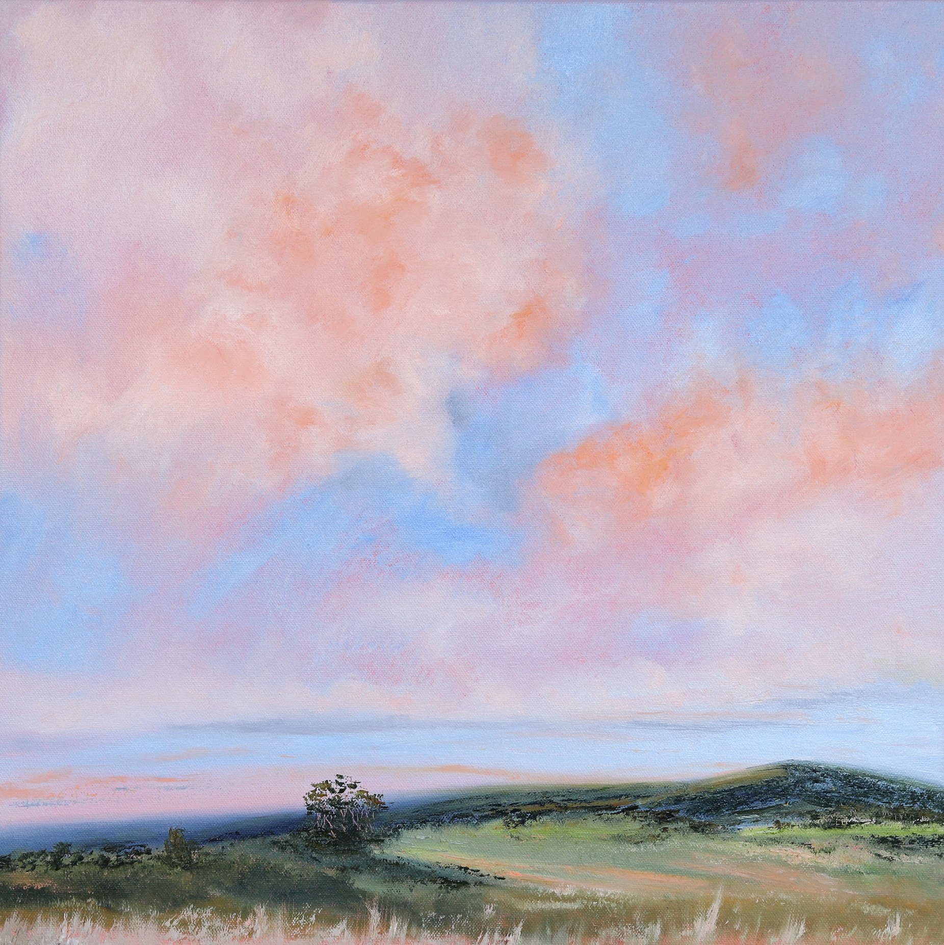 Allison Taplin - First and Last