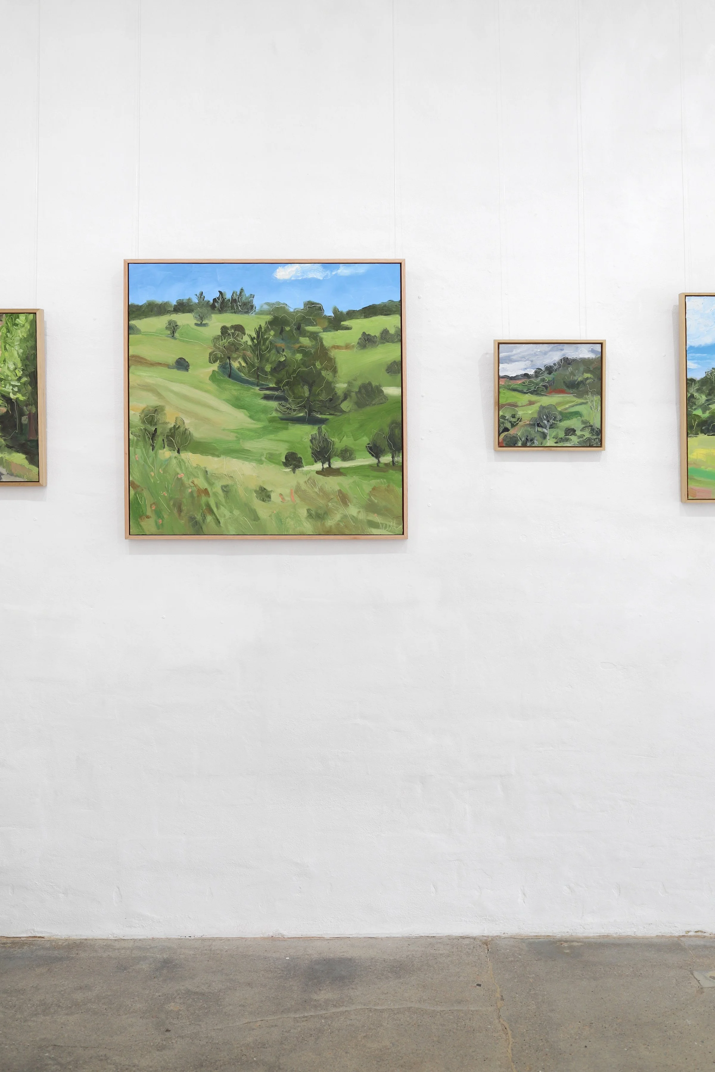 Leisl Baker, The Corner Store Gallery-01.jpg