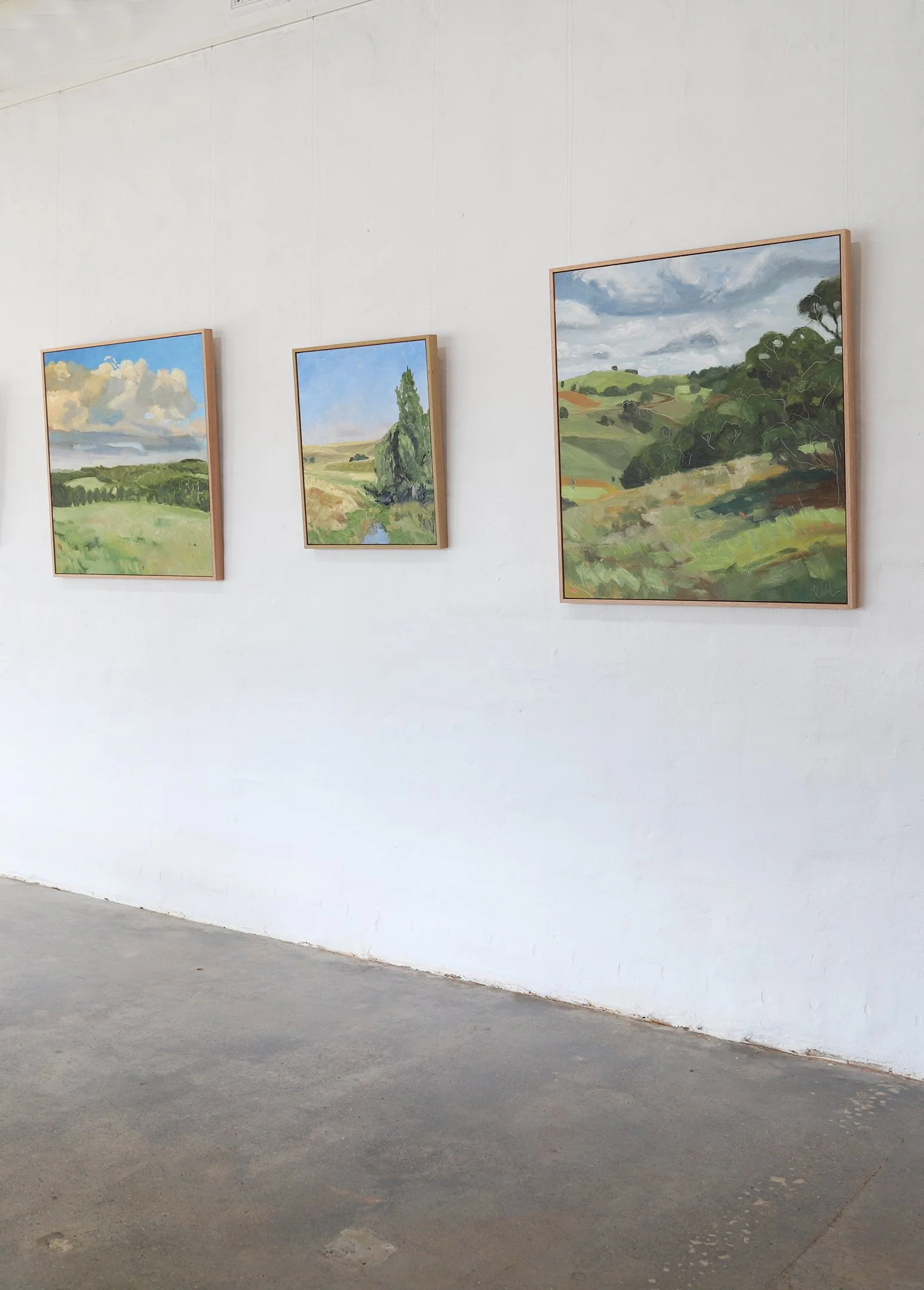 Leisl Baker, The Corner Store Gallery-04.jpg