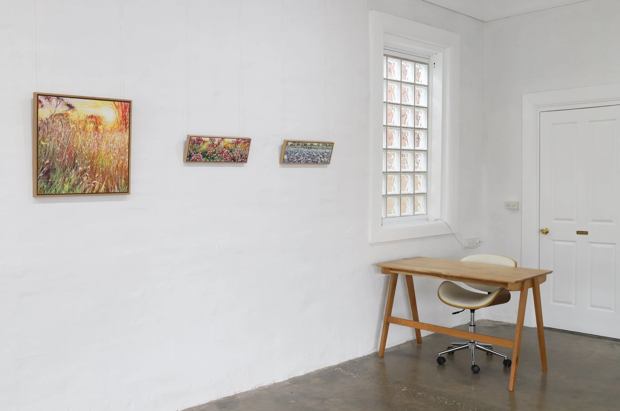 Narelle Higson solo exhibition, The Corner Store Gallery, Orange NSW--5.jpg