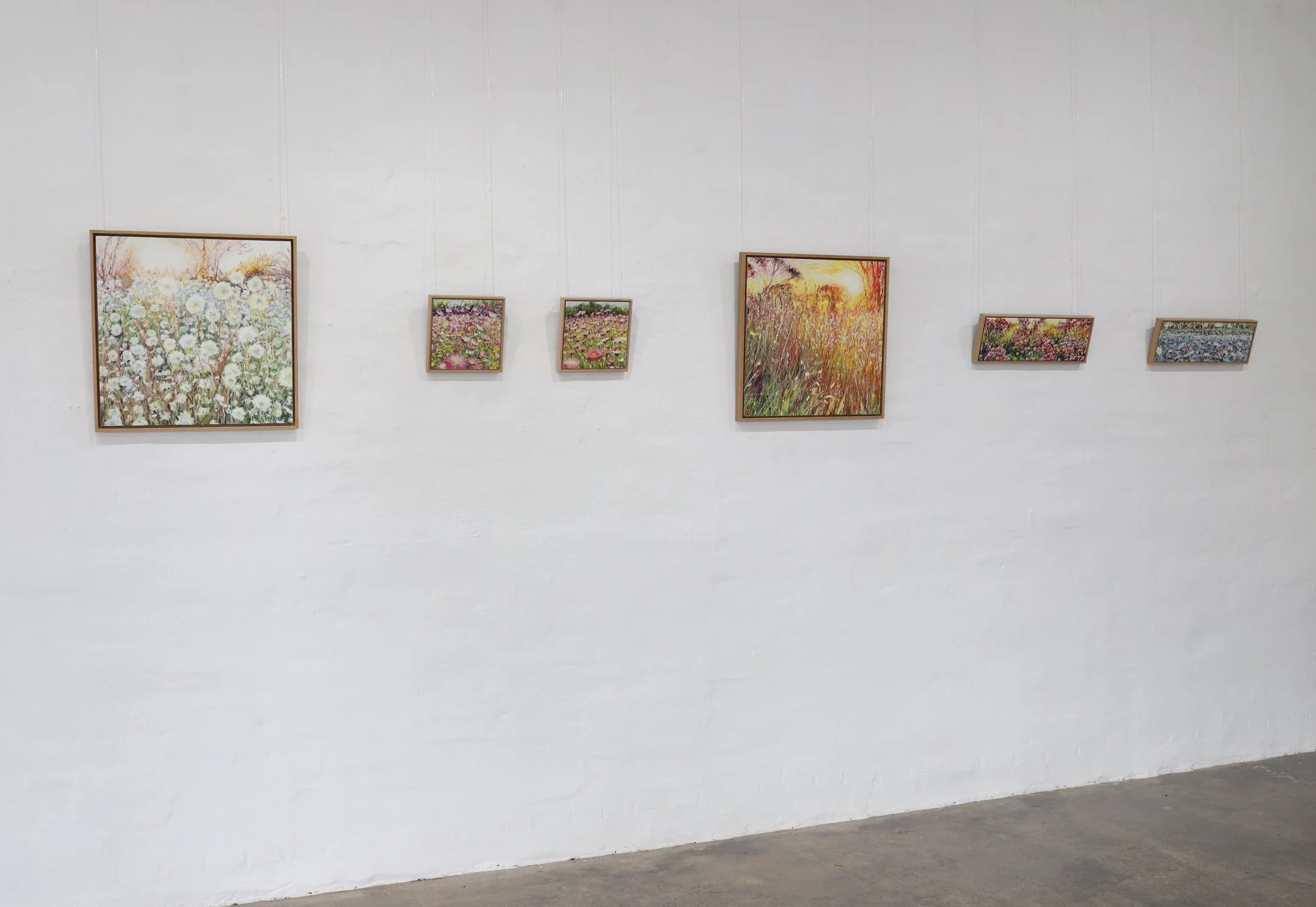 Narelle Higson solo exhibition, The Corner Store Gallery, Orange NSW--7.jpg