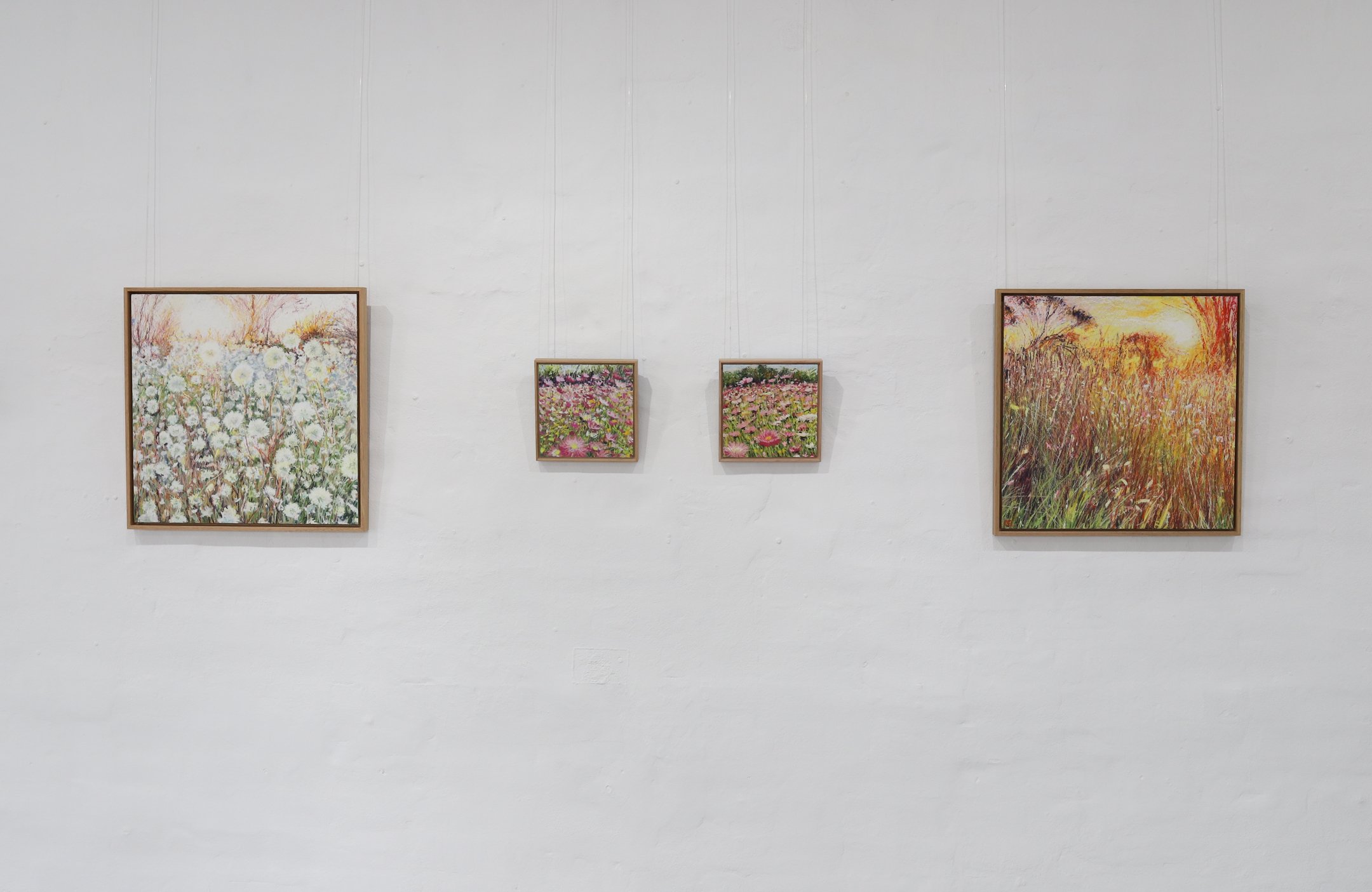 Narelle Higson solo exhibition, The Corner Store Gallery, Orange NSW--8.jpg