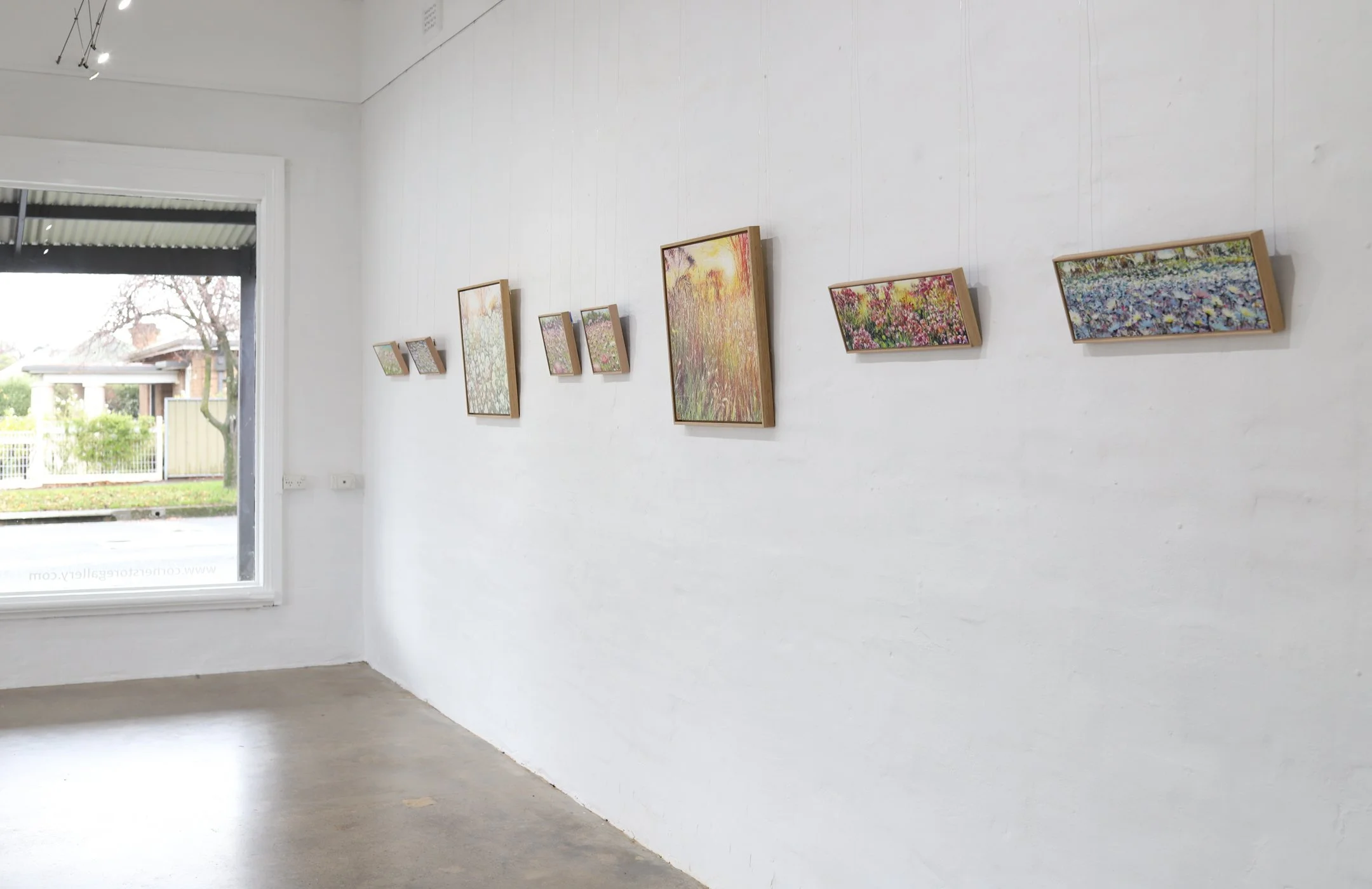Narelle Higson solo exhibition, The Corner Store Gallery, Orange NSW-.jpg
