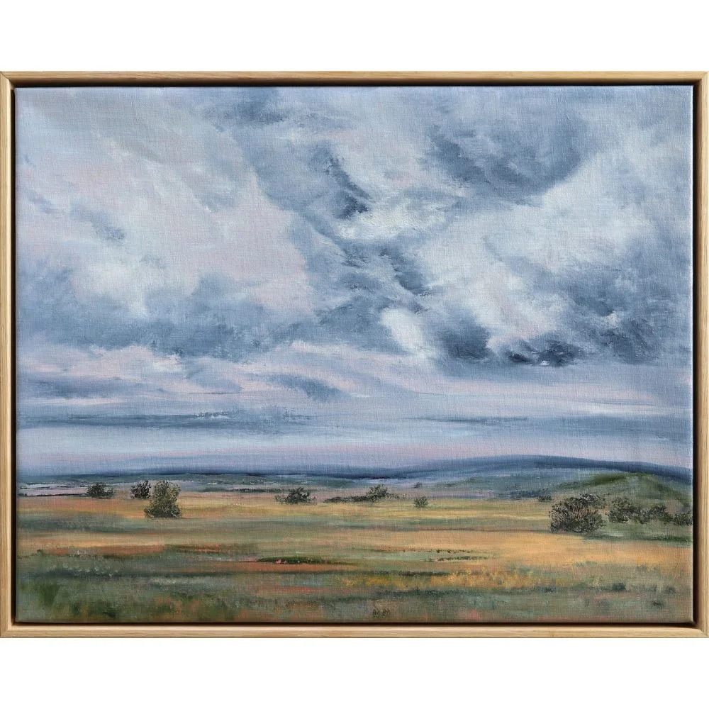 Allison Taplin - This Wide Brown Land