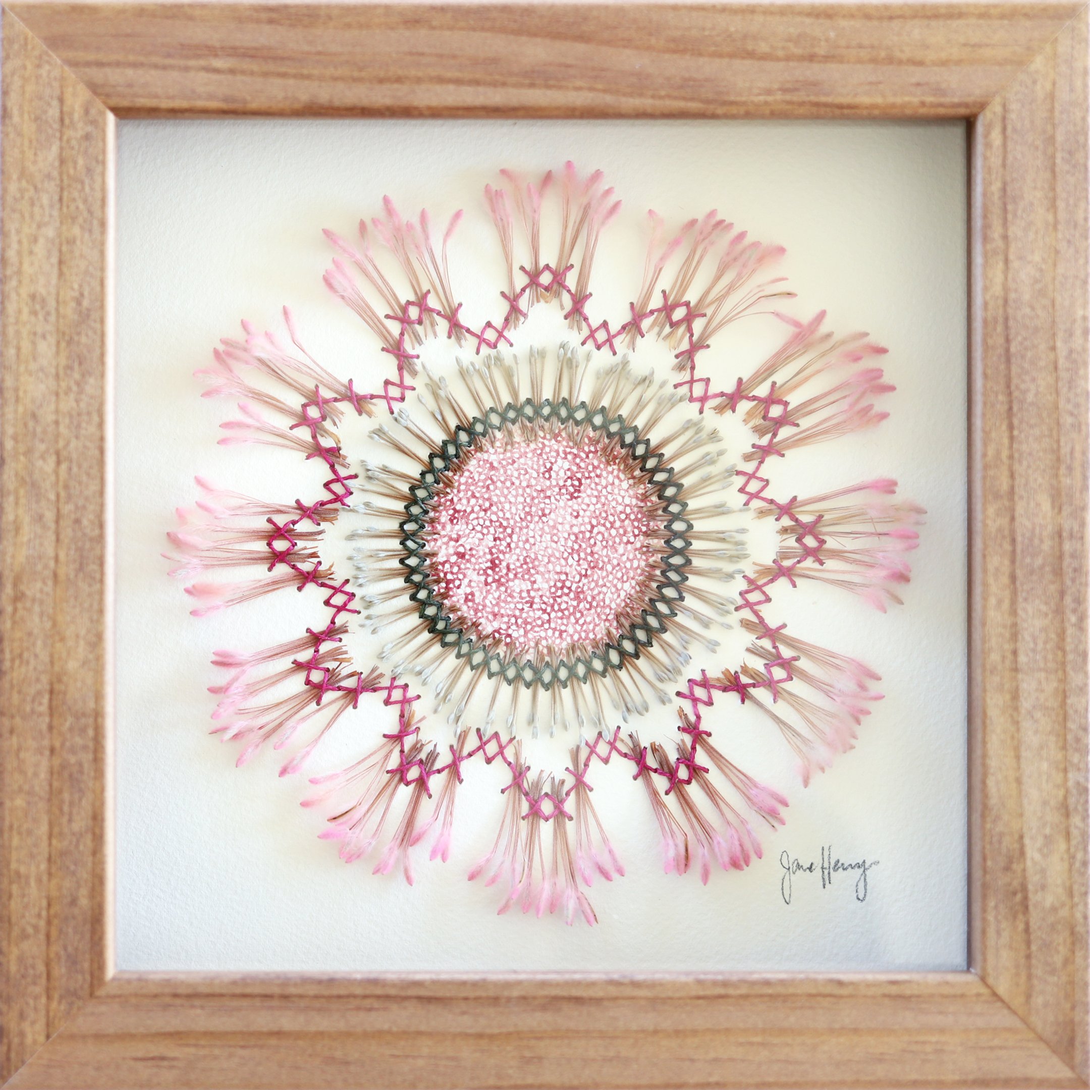 Jane Henry, Australian Art, Botanical Art, Shop Art Online, The Corner Store Gallery, Embroidery.