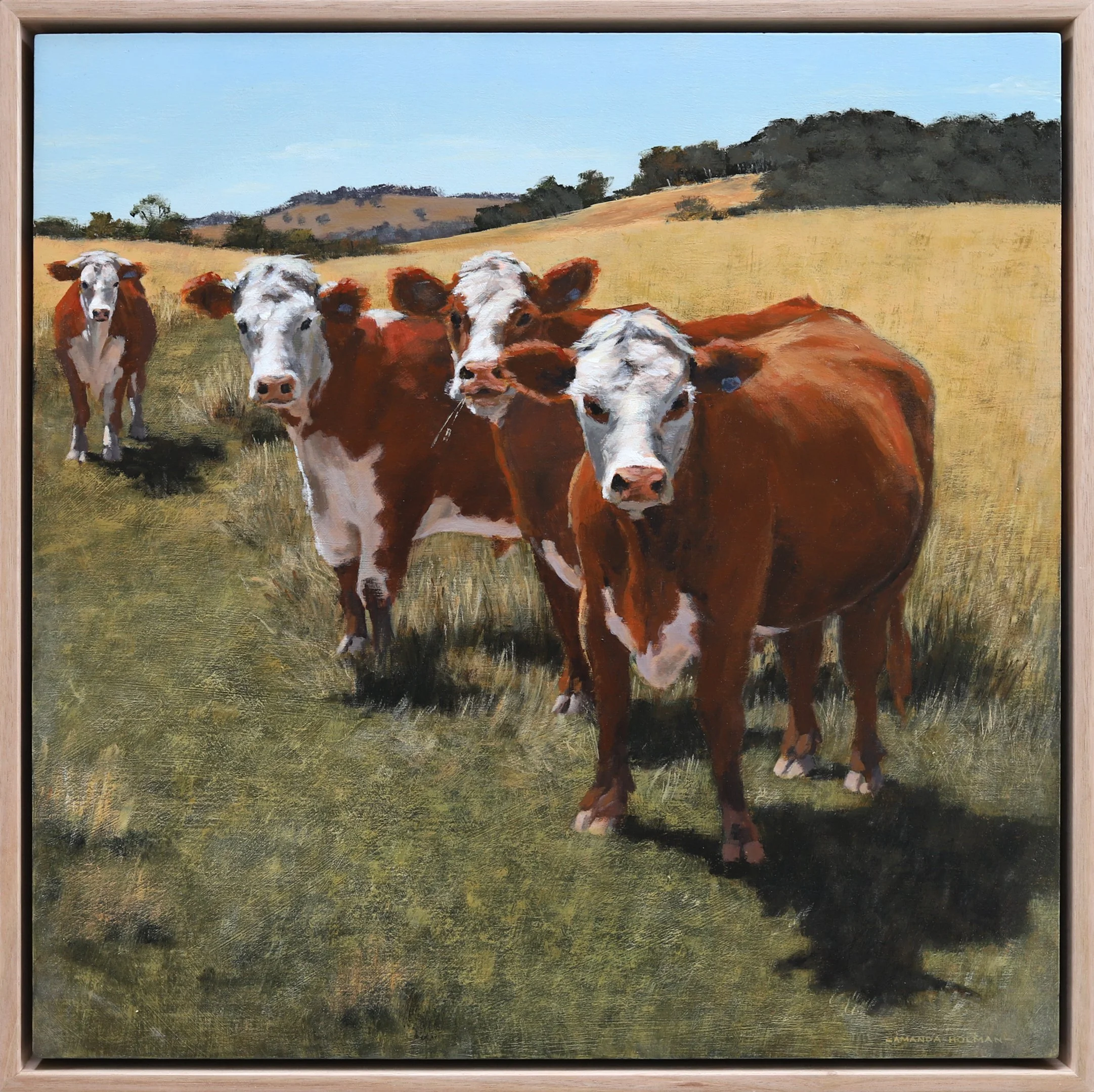 Amanda Holman - Four Amigos