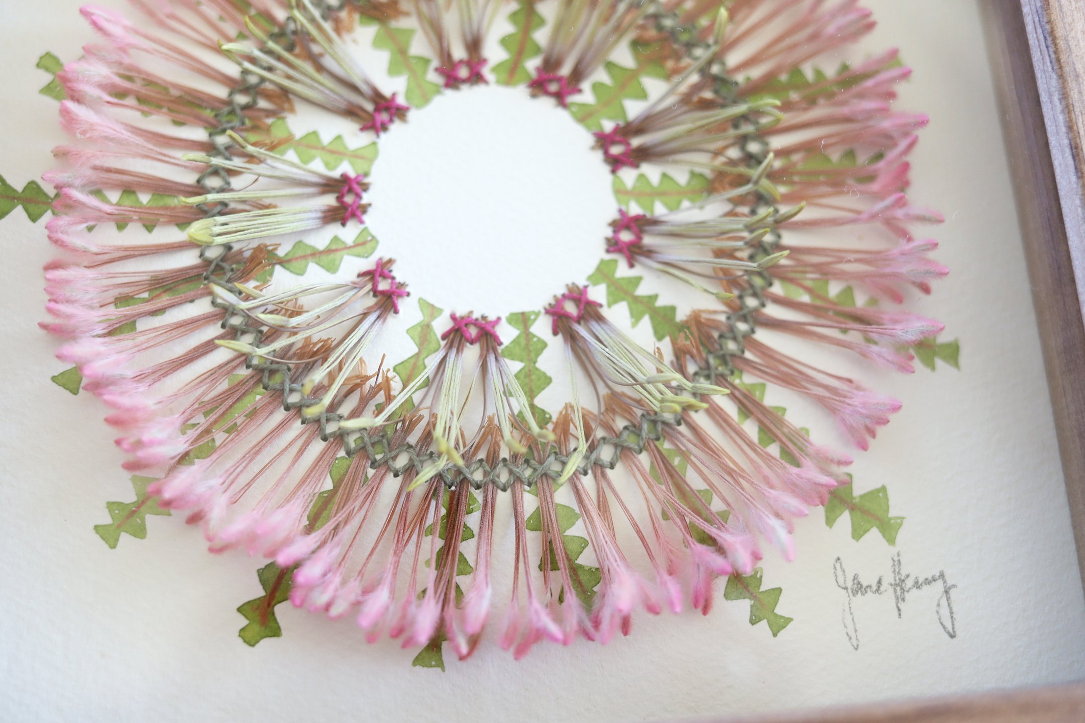Jane Henry, Australian Art, Botanical Art, Shop Art Online, The Corner Store Gallery, Embroidery.