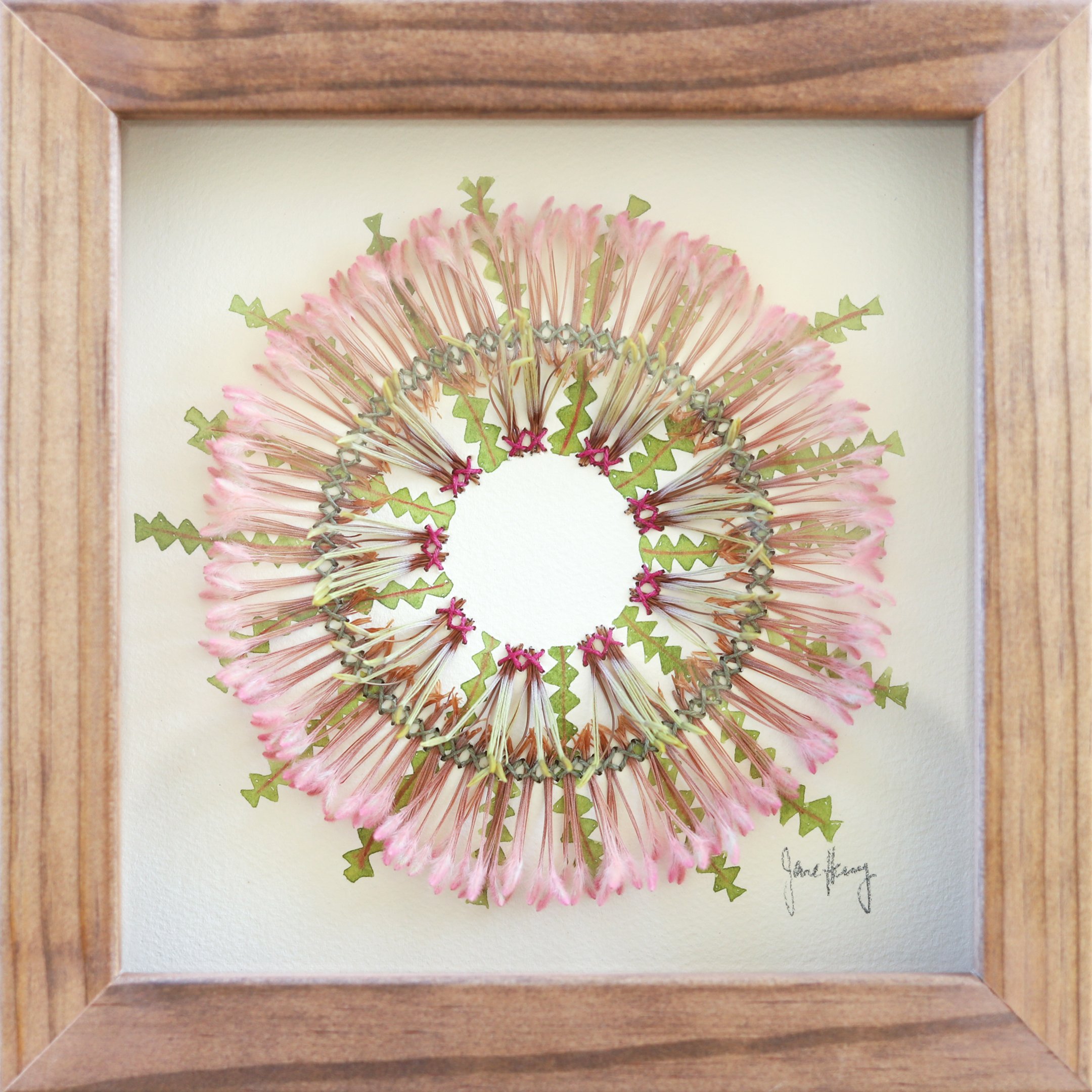Jane Henry, Australian Art, Botanical Art, Shop Art Online, The Corner Store Gallery, Embroidery.