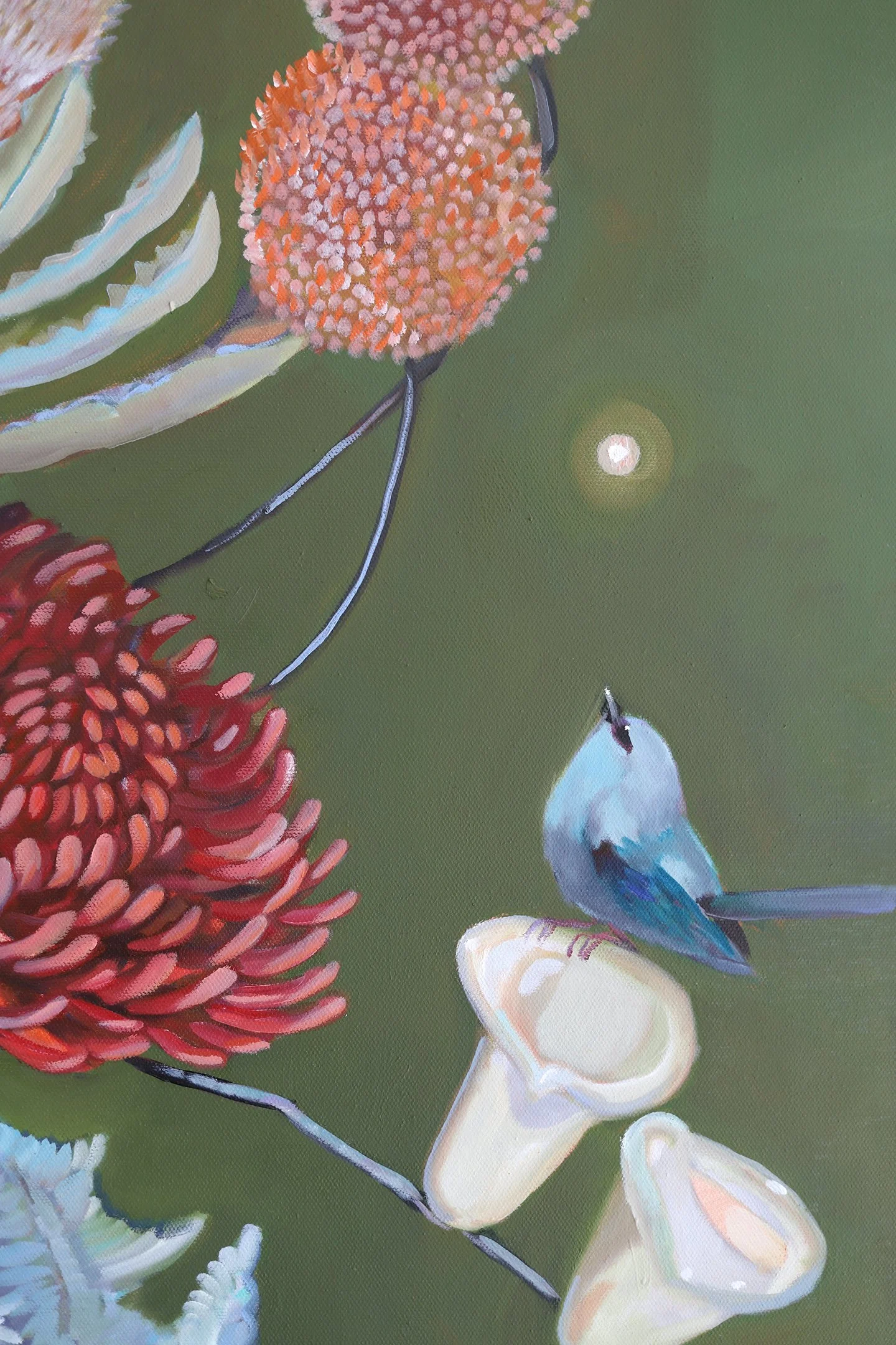 Sam Suttie, Australian Art, Shop Original Art Online, Still Life, Floral Art, Unique Art, The Corner Store Gallery.
