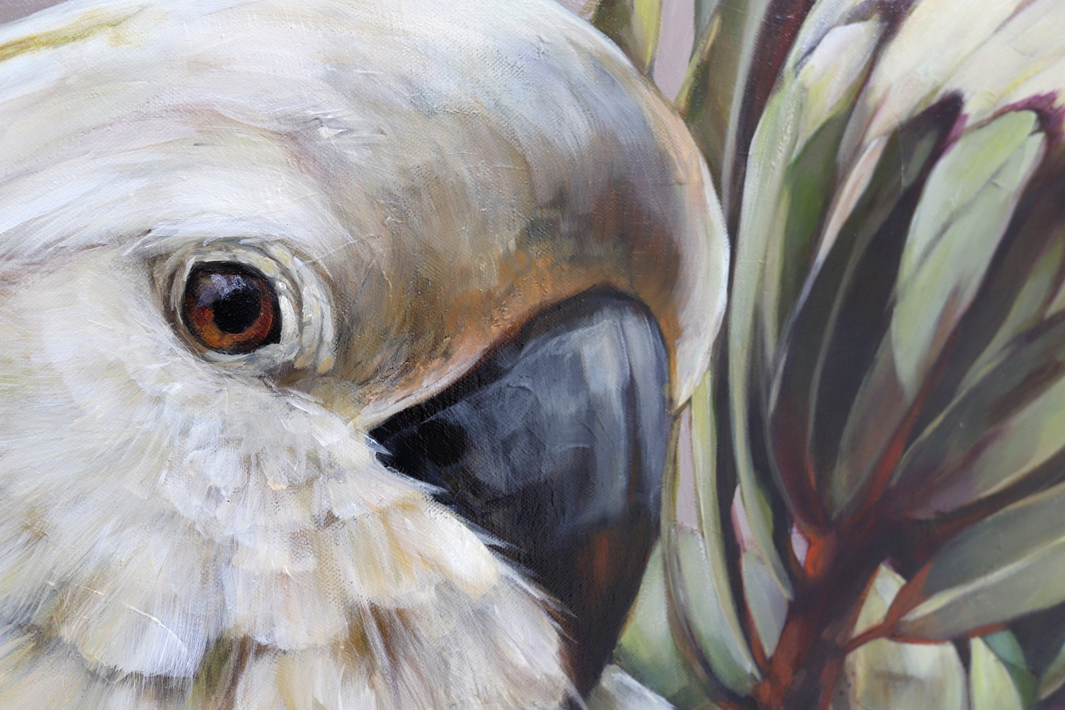 Marilou Palazon, Australian Art, Australian Birds, Cockatoo, Australiana, Modern Art, Art Online, The Corner Store Gallery.
