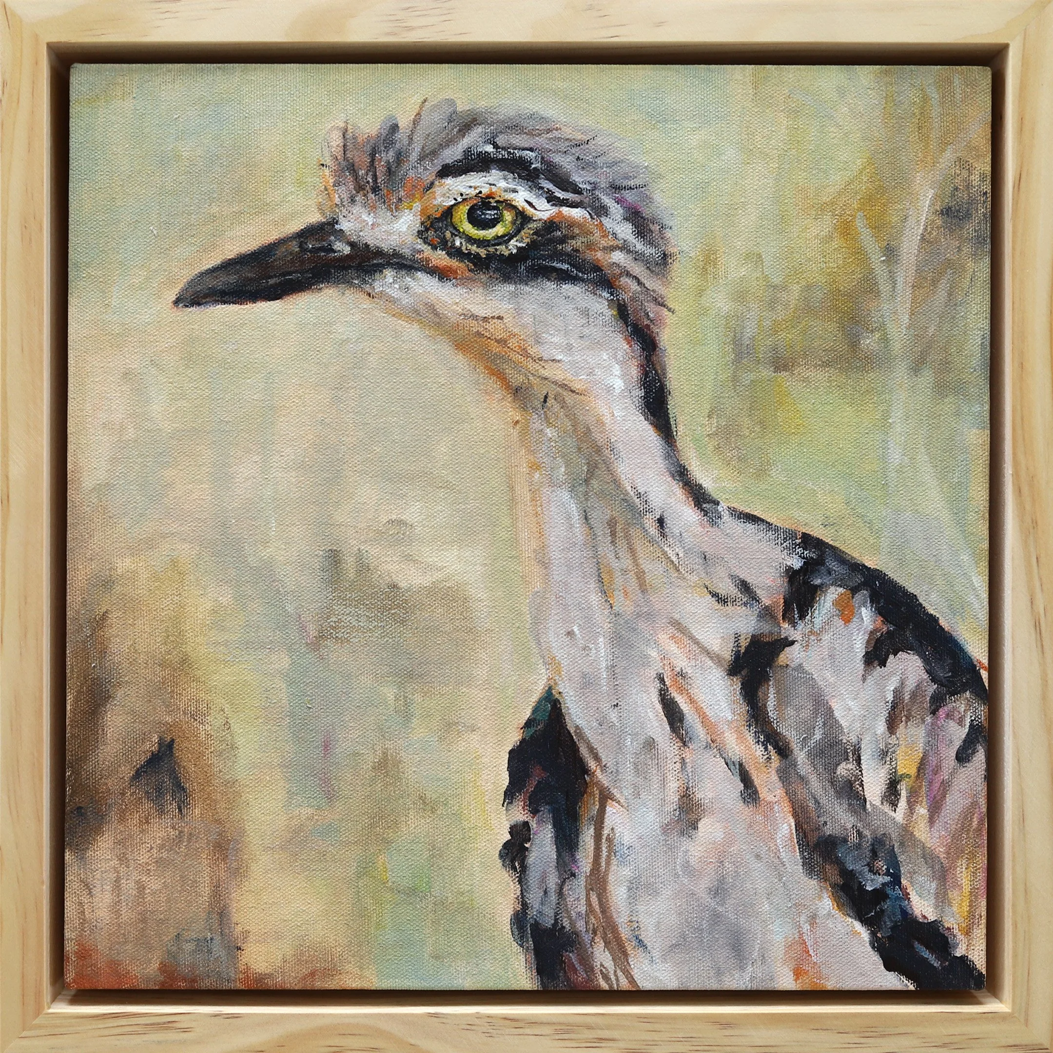 Anna Davi, Australian Bird Paintings, The Corner Store Gallery -2.jpg