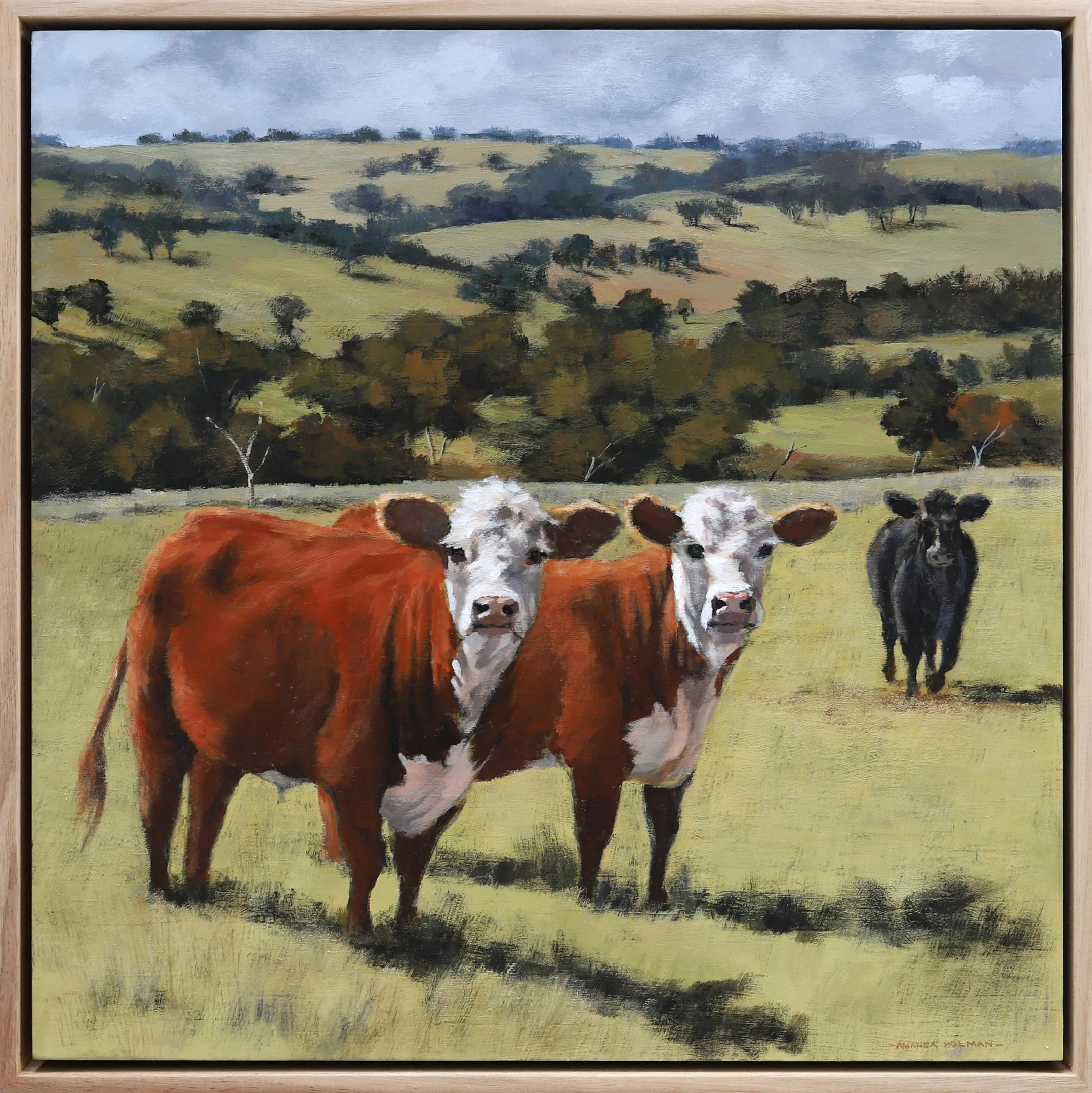 Amanda Holman - Brothers