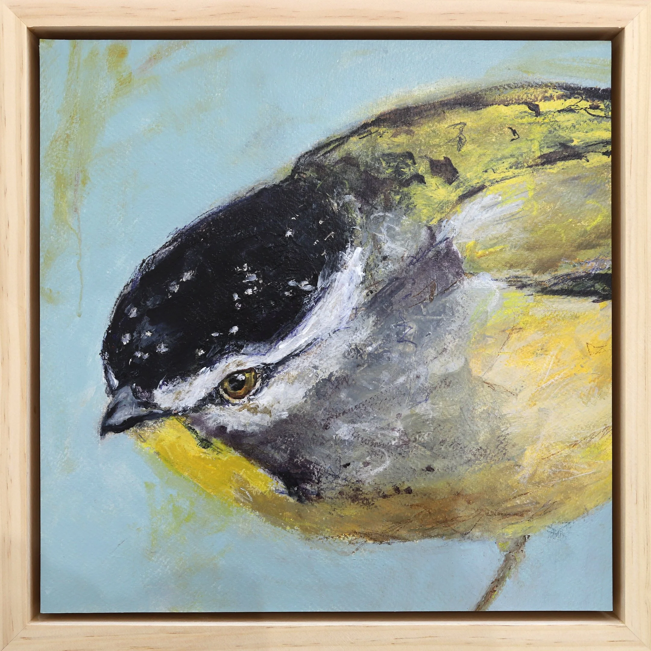 Anna Davi, Australian Art, Bird Painting, Bird Portrait, Shop Original Art Online, The Corner Store Gallery