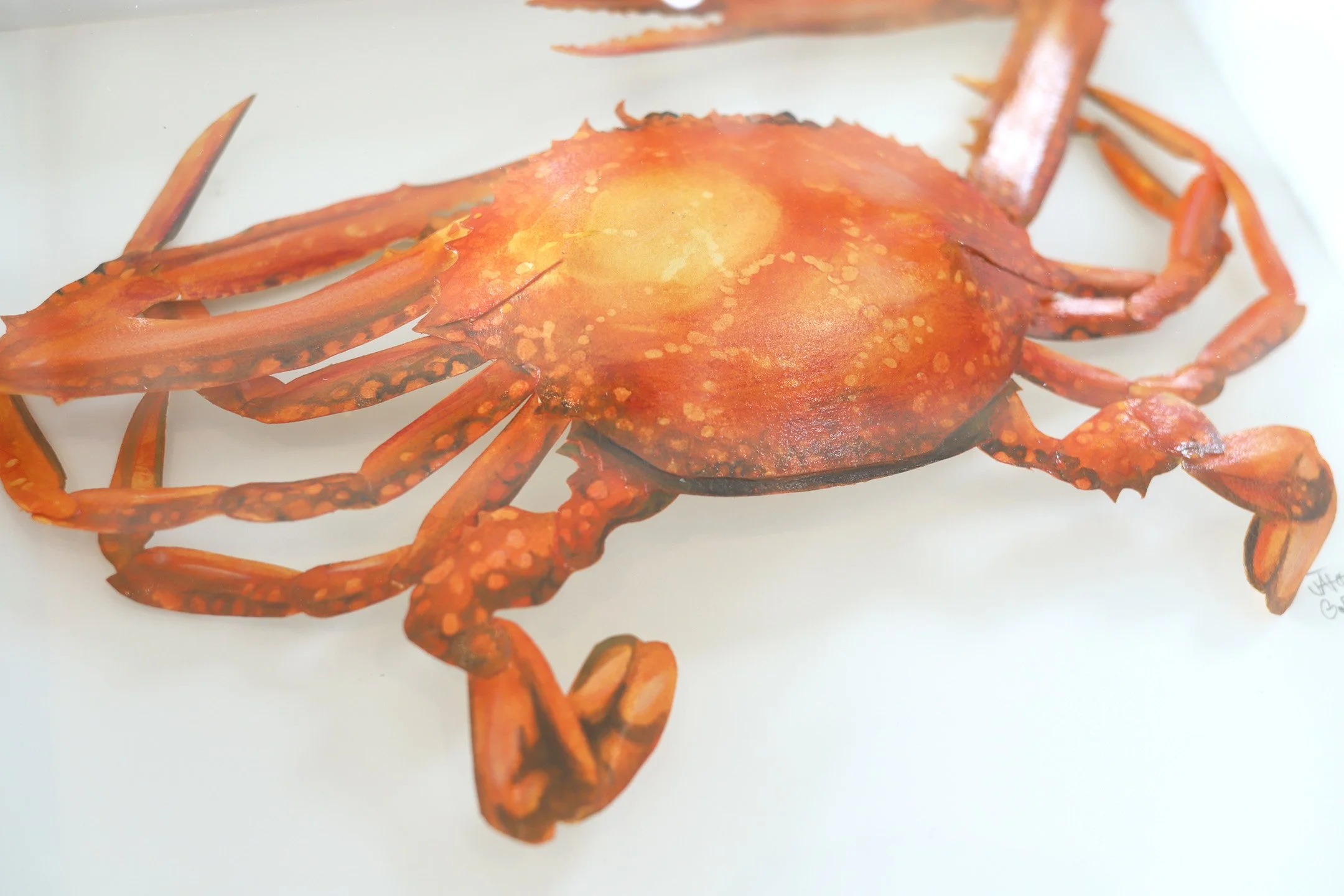 The Corner Store Gallery -106.jpg