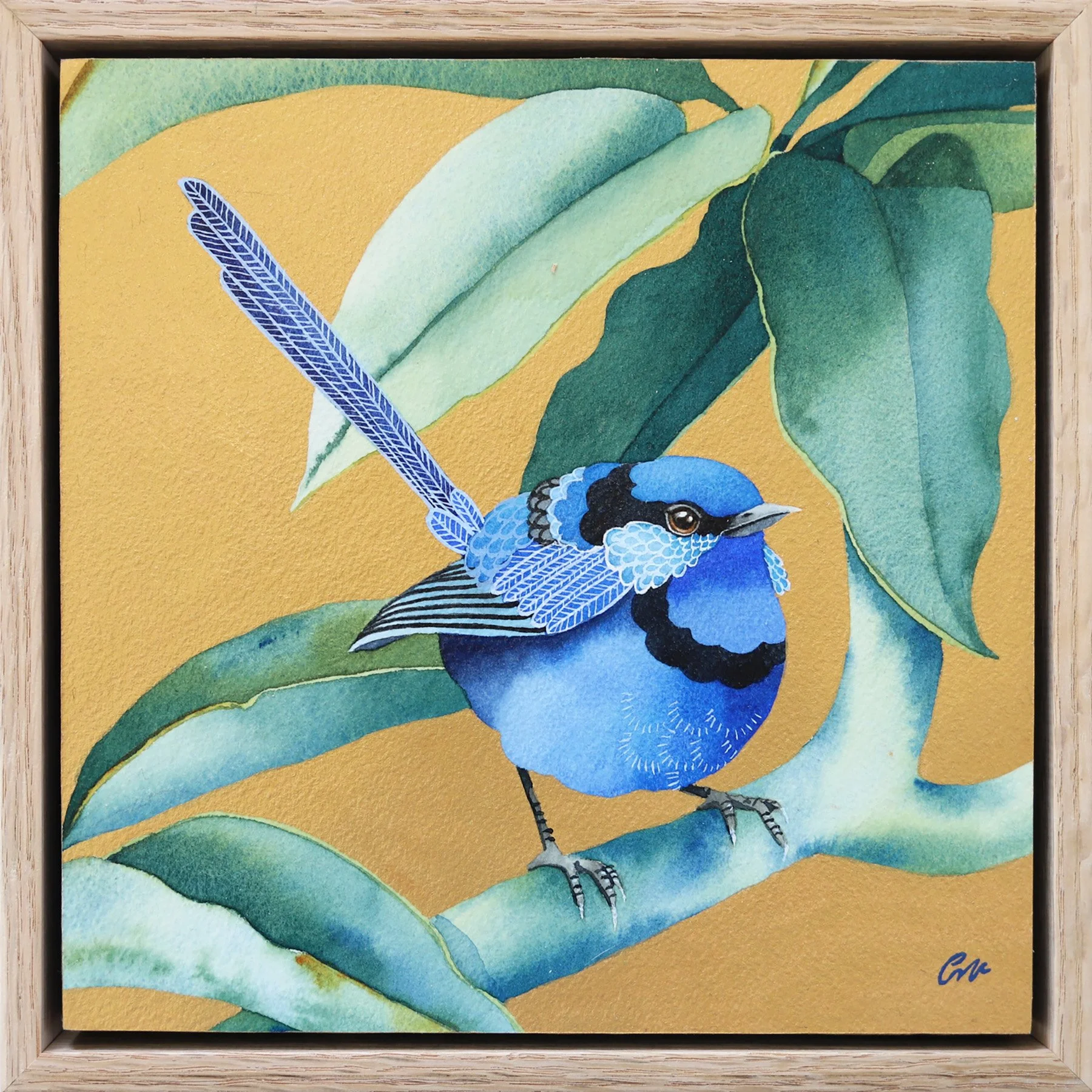 Clare McCartney - The Splendid Fairy