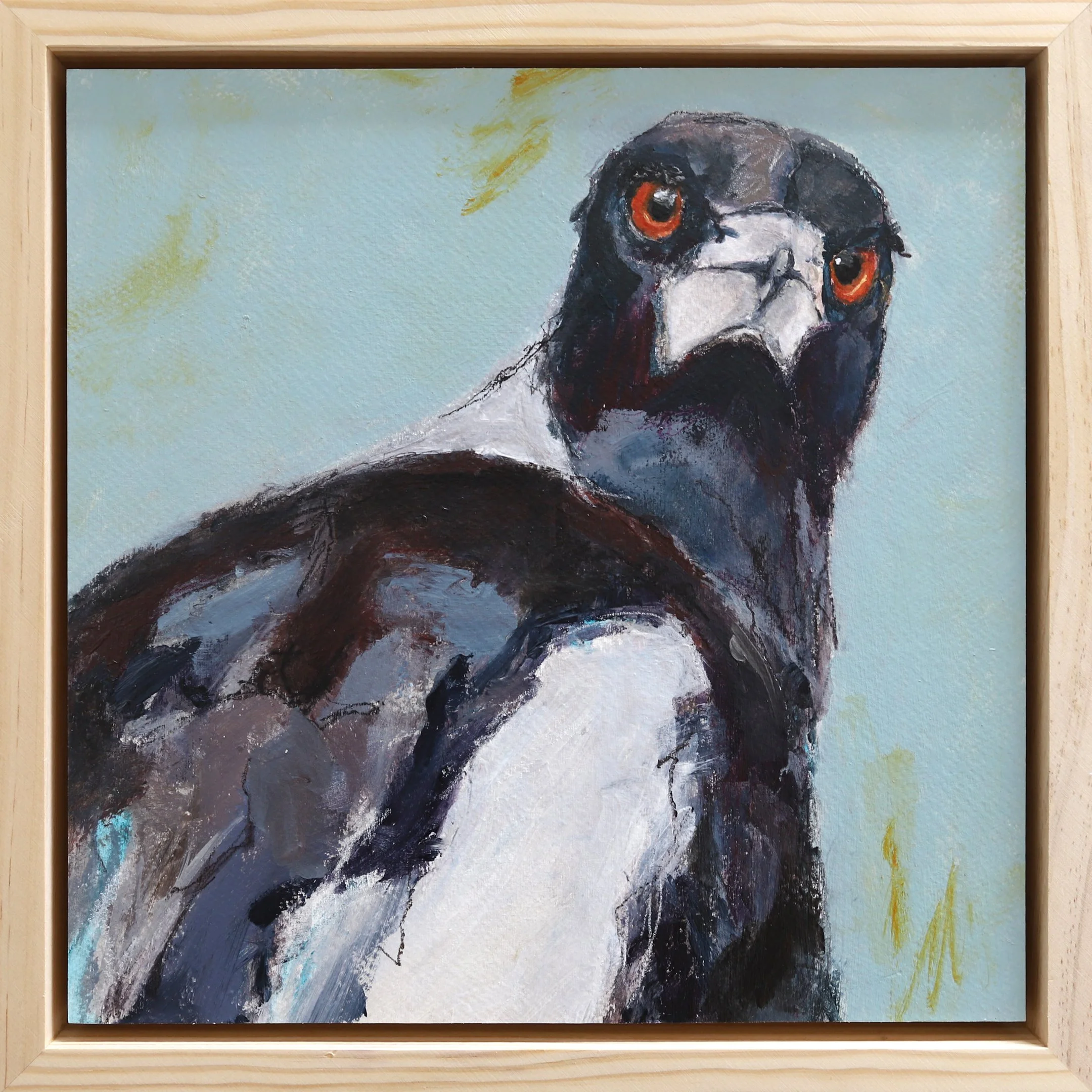Anna Davi, Australian Art, Bird Painting, Bird Portrait, Shop Original Art Online, The Corner Store Gallery
