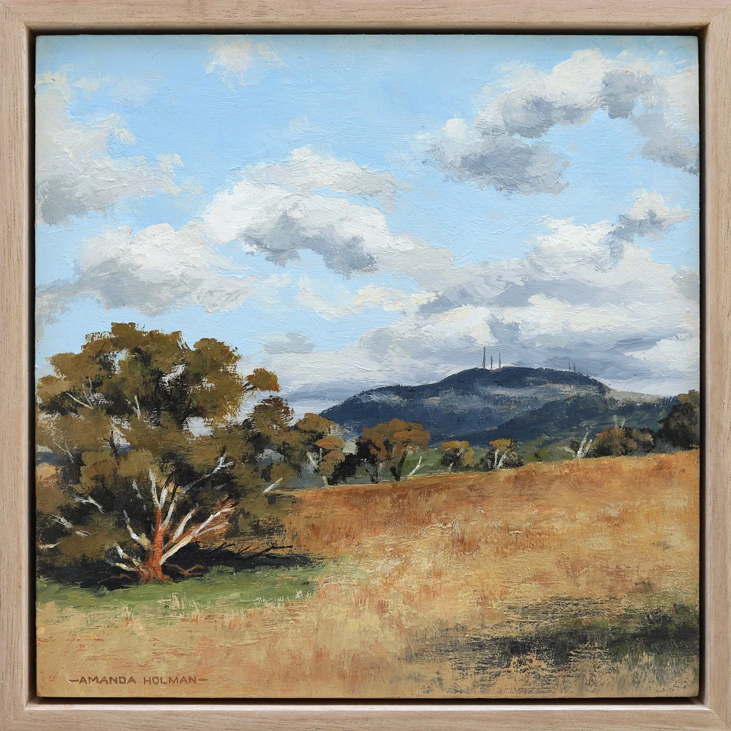 Amanda Holman, Australian Landscape Painting, Rural, Rustic, Orange NSW.