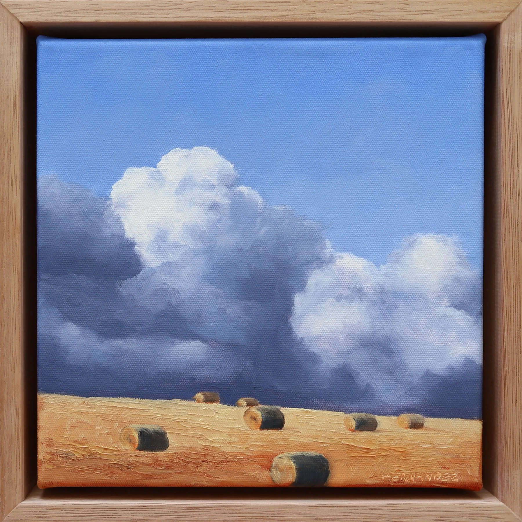 Jo Fernandez - Cloud Dance - Make Hay While the Sun Shines