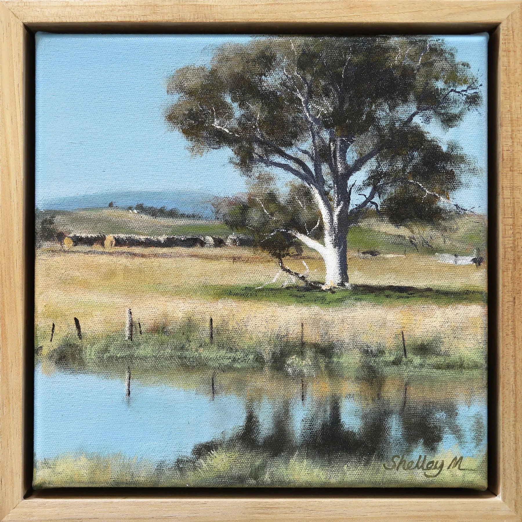 Shelley McLean - Beyond the Pond II