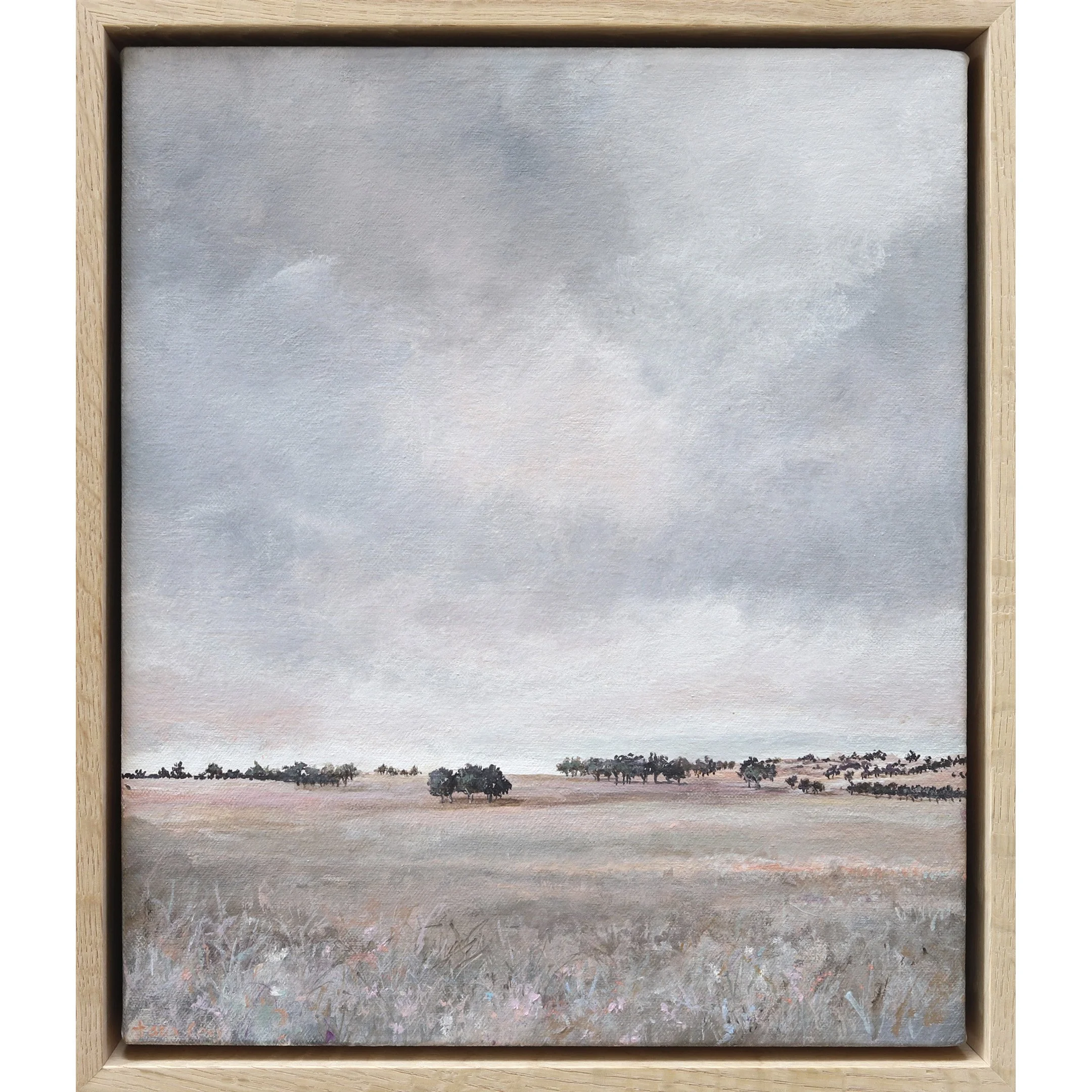 The Corner Store Gallery Tara Coey, Origianl Artworks, Shop Online10sq.jpg