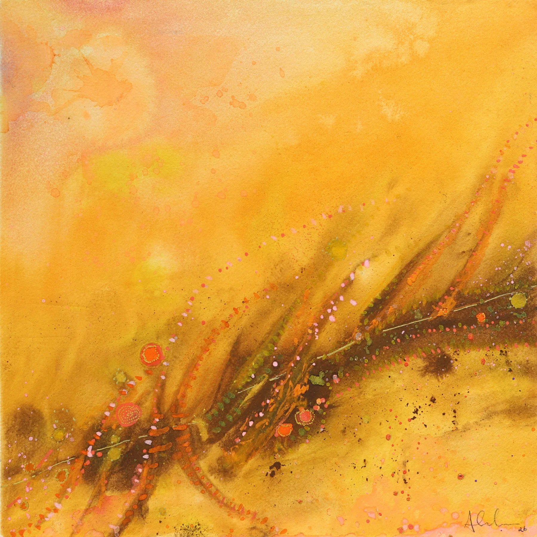 Amy Erbacher - The Dust Settles