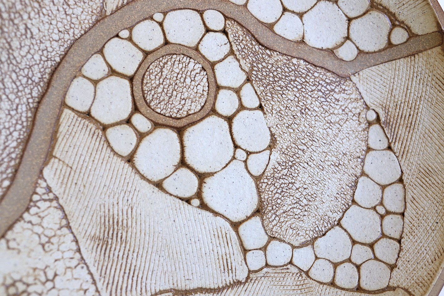 Rachel Lucas, Australian ceramic artist, The Corner Store Gallery _3656.JPG