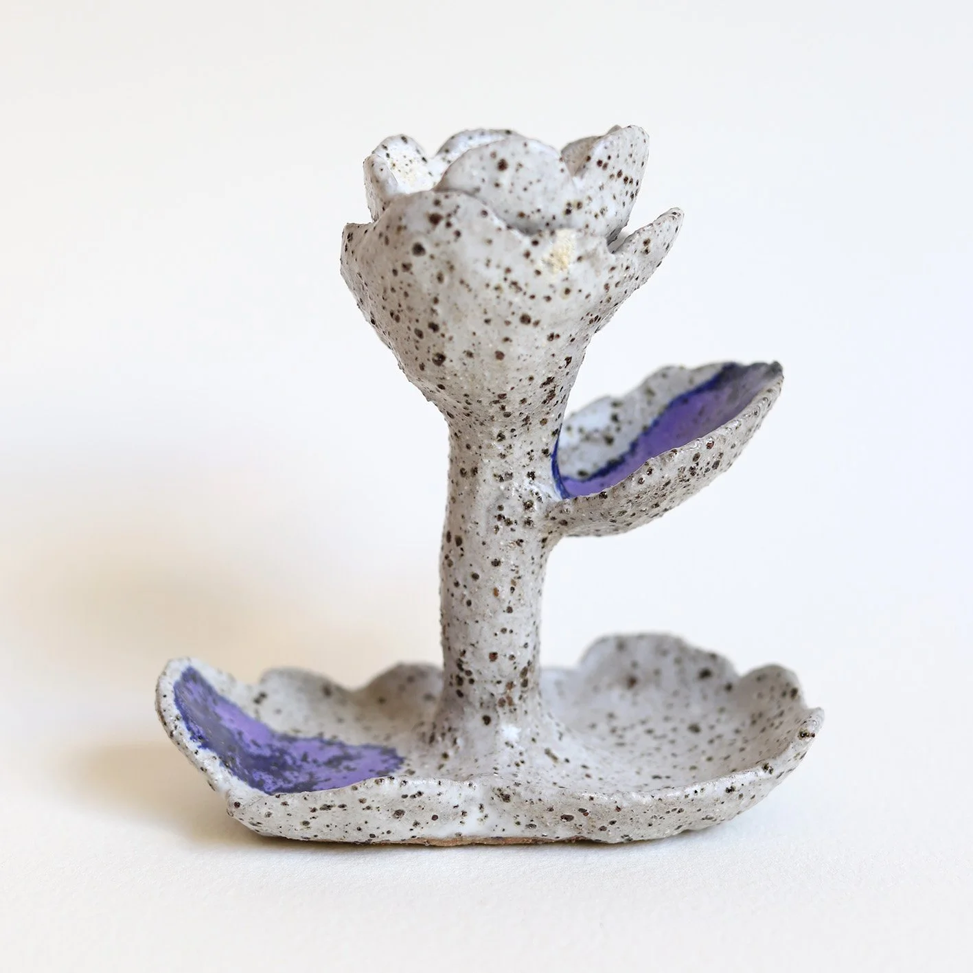 Phoebe Turner, Australian ceramic artist, The Corner Store Gallery, The Corner Store Gallery _2964.JPG