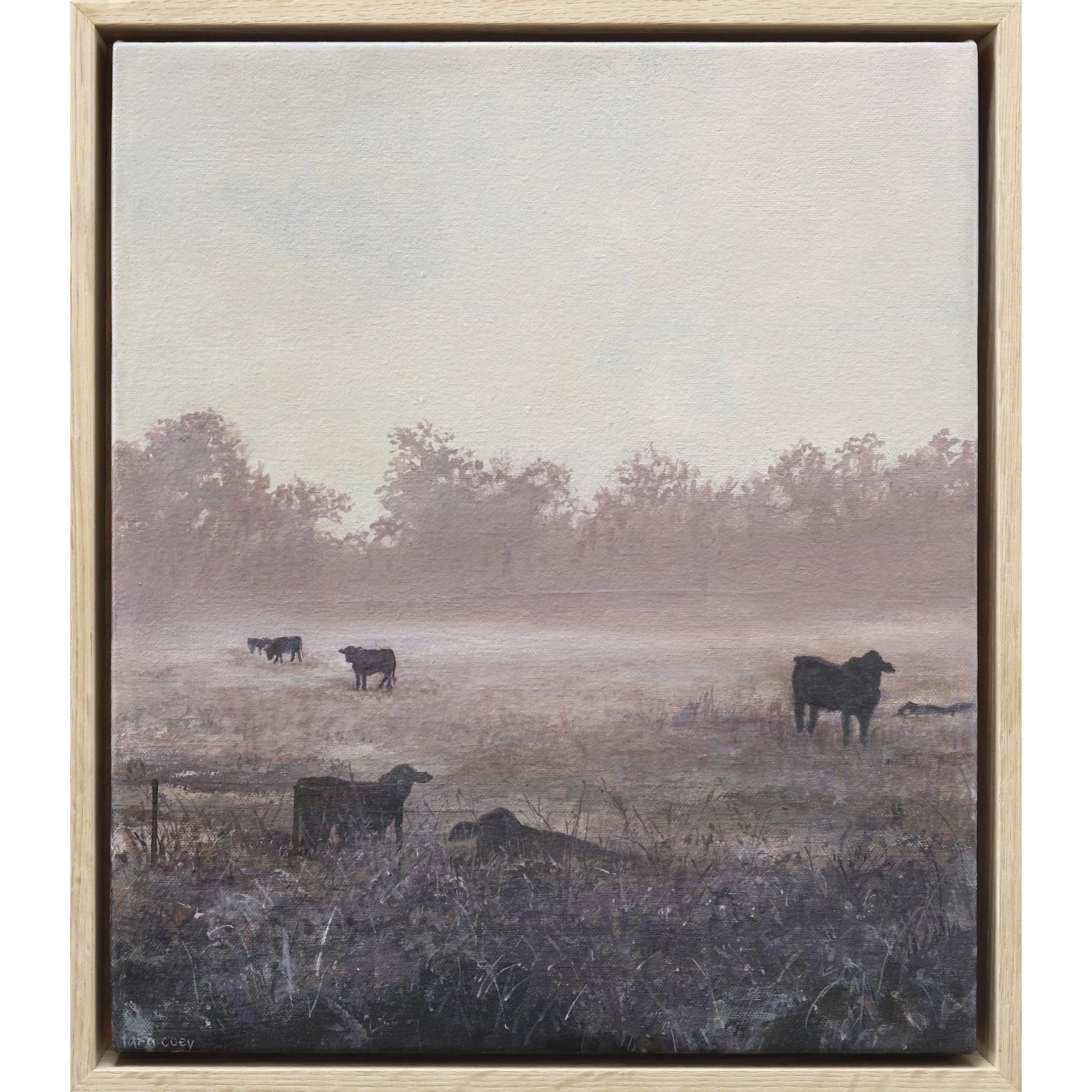 The Corner Store Gallery Tara Coey, Origianl Artworks, Shop Online11sq.jpg