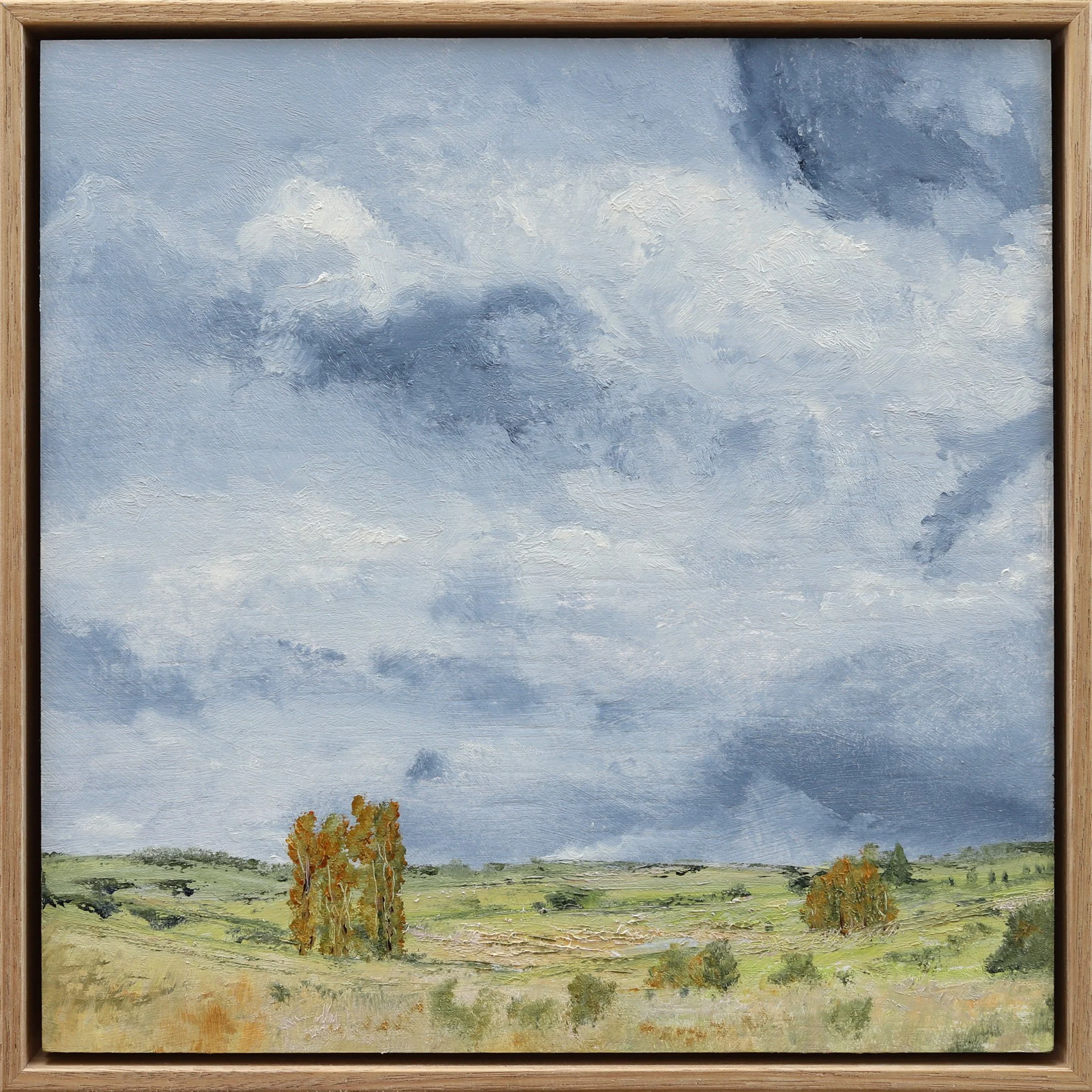 Allison Taplin, Australian Landscape Art, Shop Original Art Online, The Corner Store Gallery
