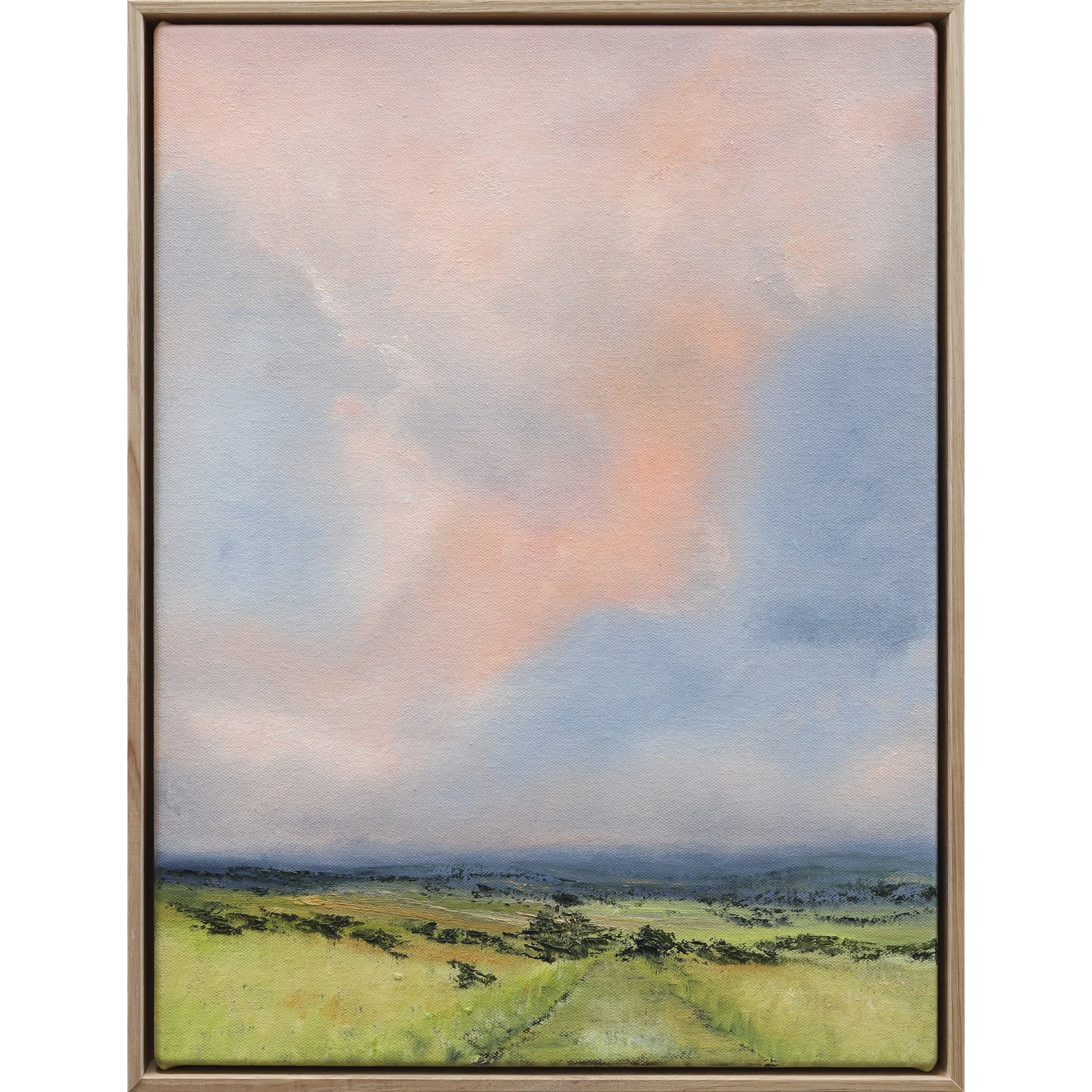 Allison Taplin, Australian Landscape Art, Shop Original Art Online, The Corner Store Gallery