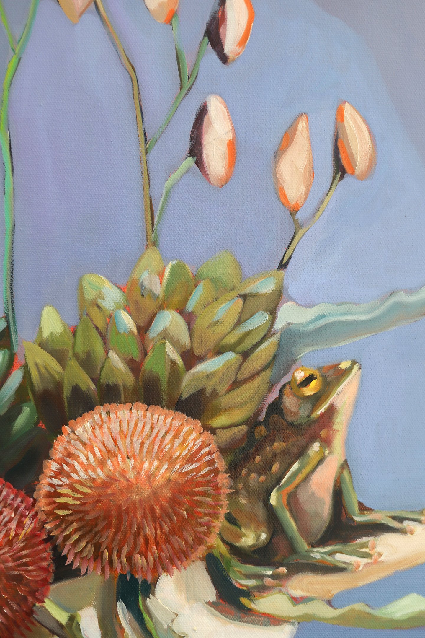 Sam Suttie, Australian Art, Shop Original Art Online, Still Life, Floral Art, Unique Art, The Corner Store Gallery.