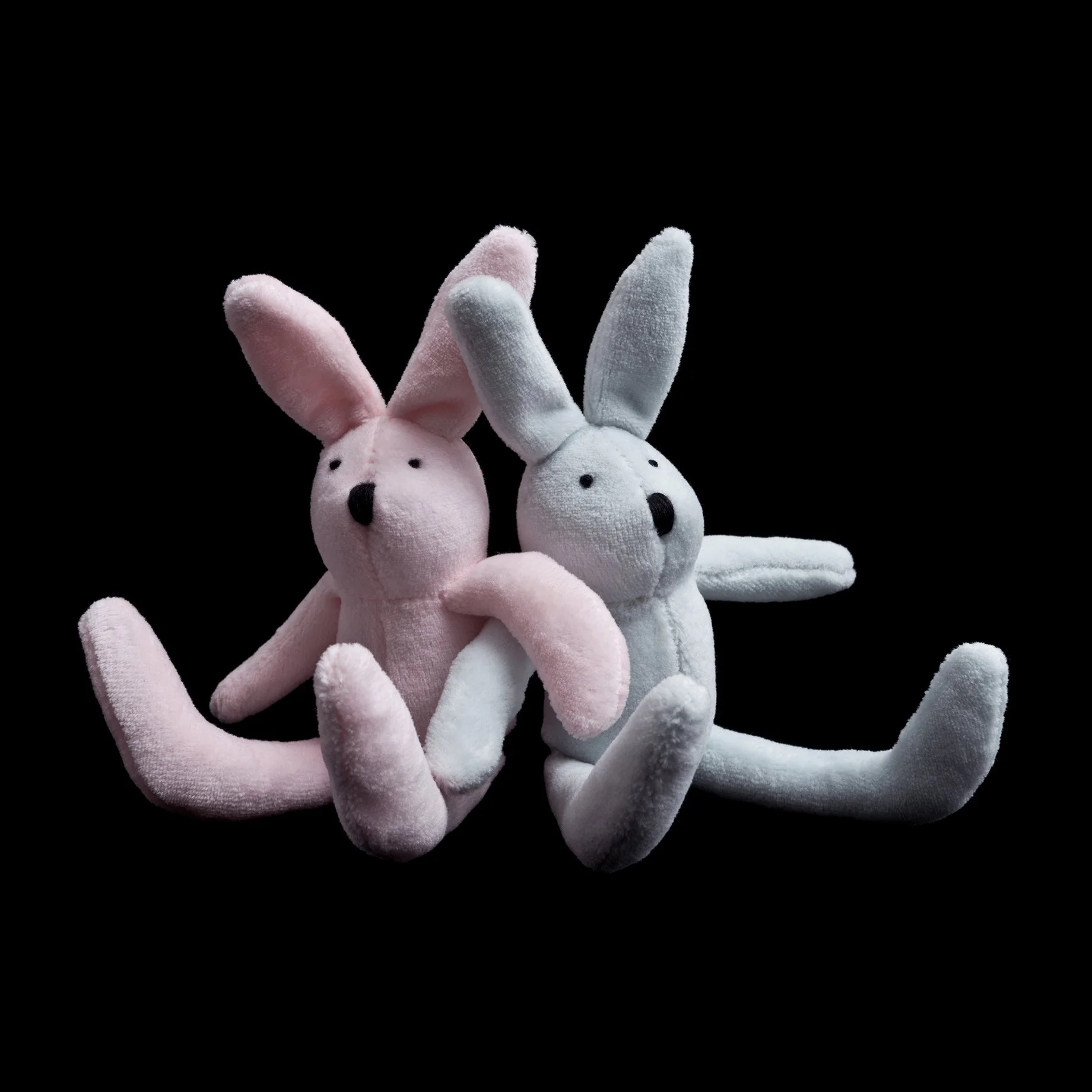 Bunnies 4