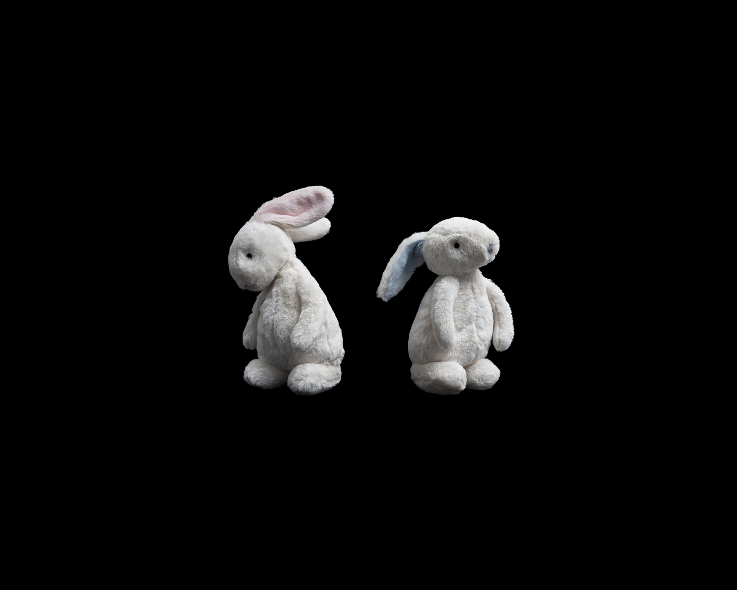   Pink &amp; Blue (bunnies 1), 2017   Fine art ink-jet print  110 x 135 cm  Edition of 5 