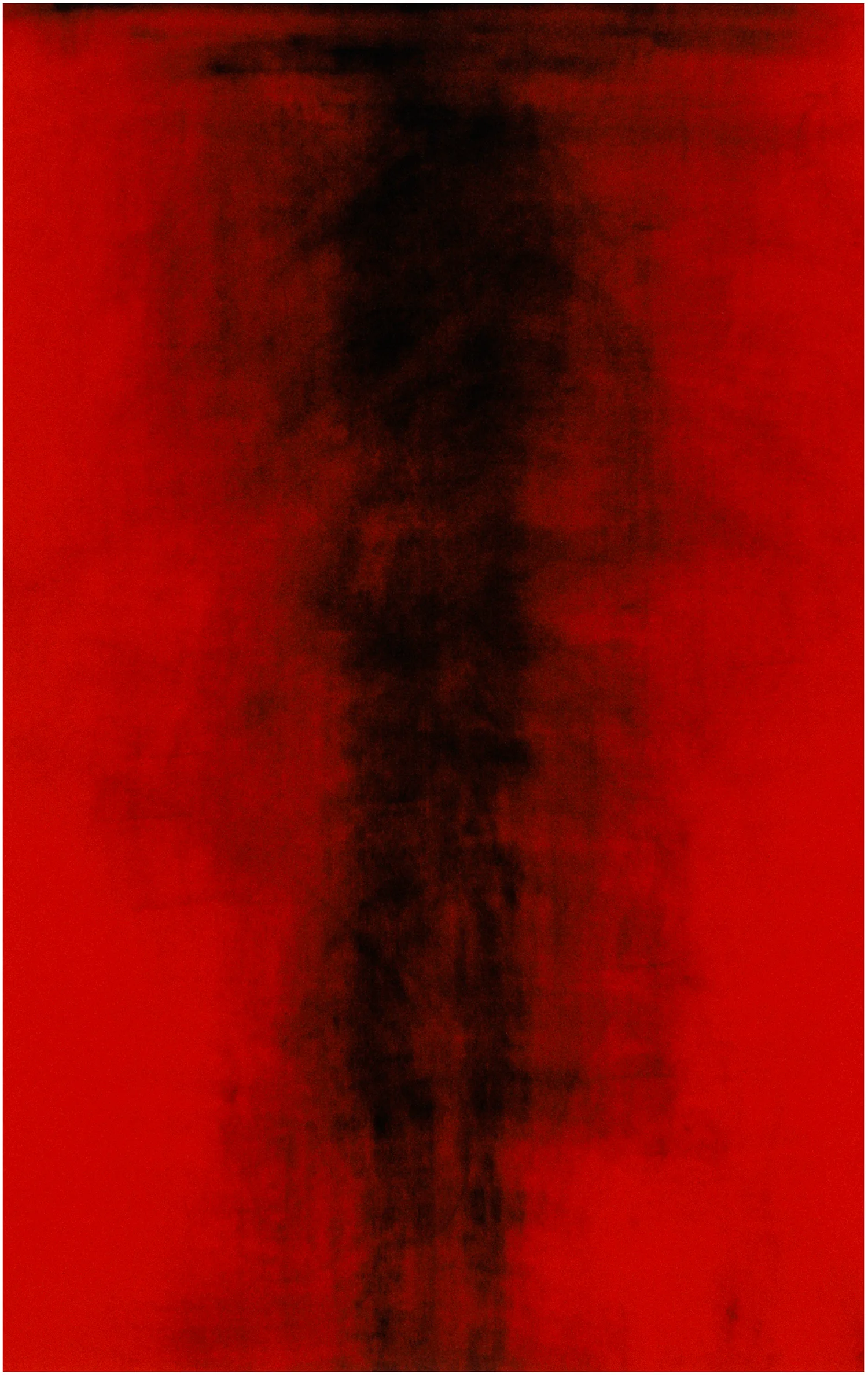   Cloth (red velvet)   
