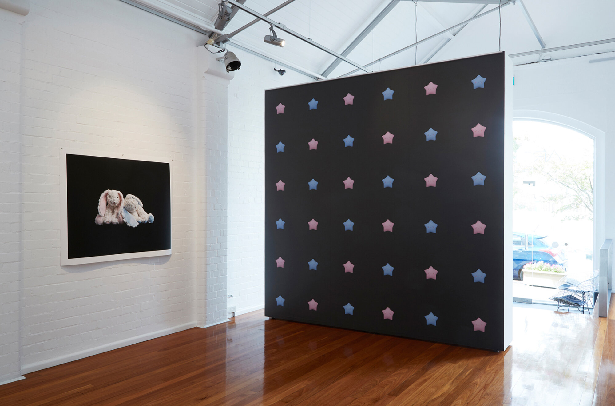 Pink &amp; Blue, Artereal Gallery, Sydney