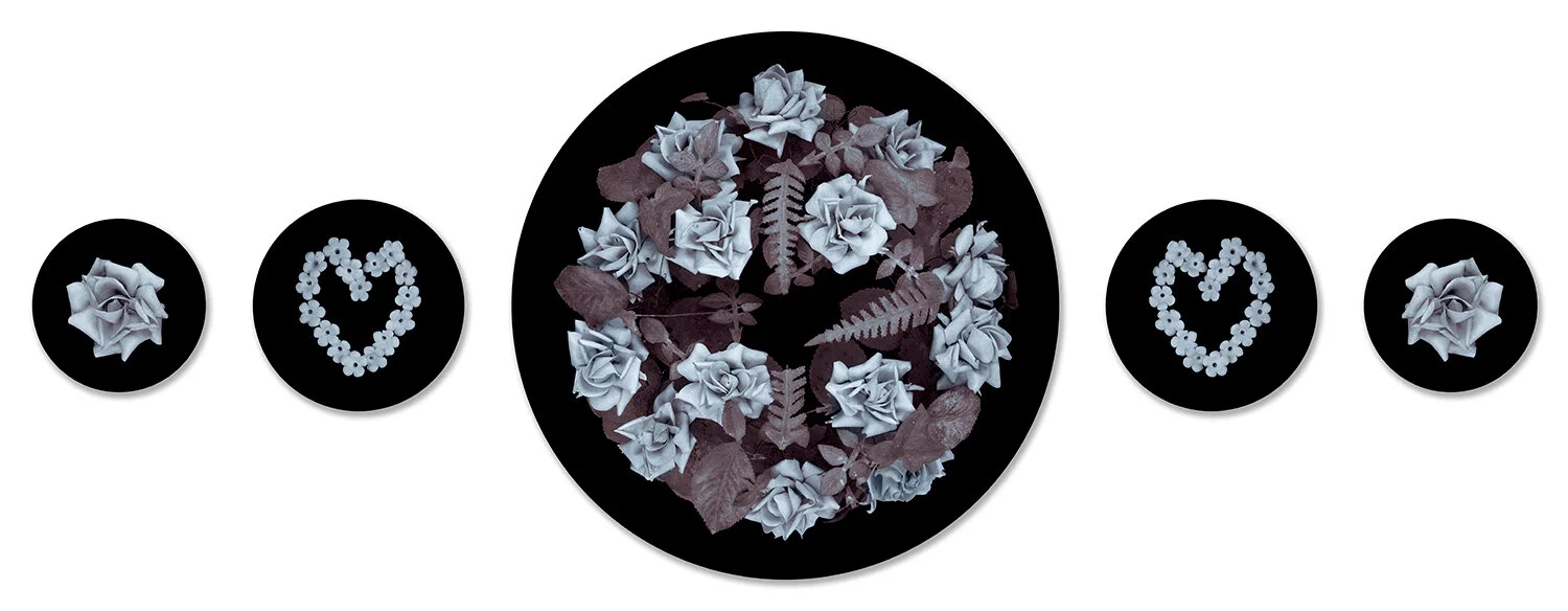 Anne MacDonald, Ornament 5, 2008