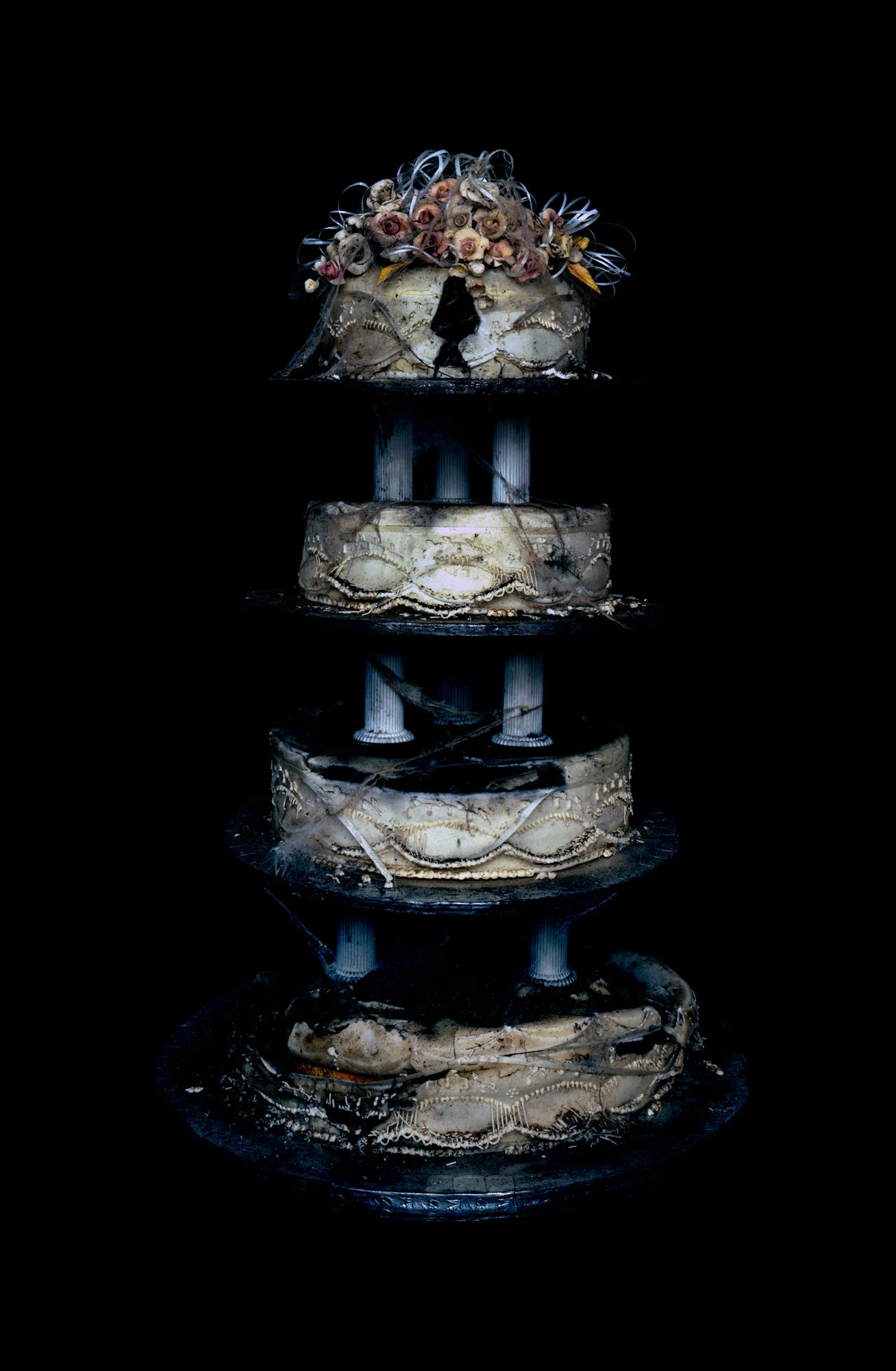 Anne MacDonald, Vanitas, 1995